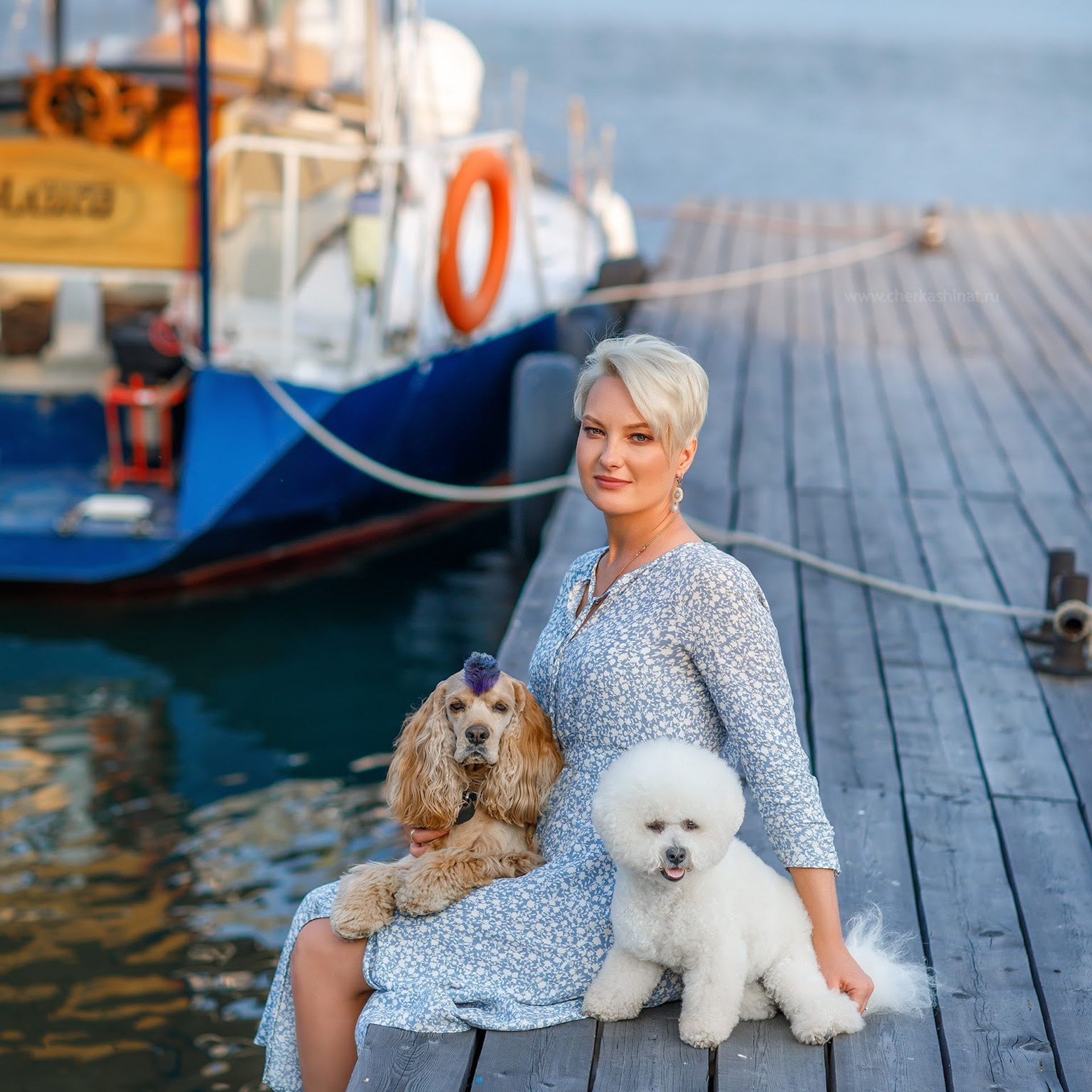 История про Катю, Купера и Добби