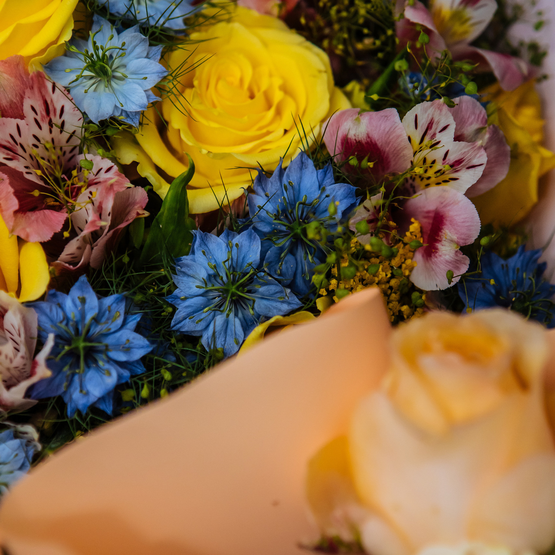 Отзывы. Фотограф Кочкаев Роман