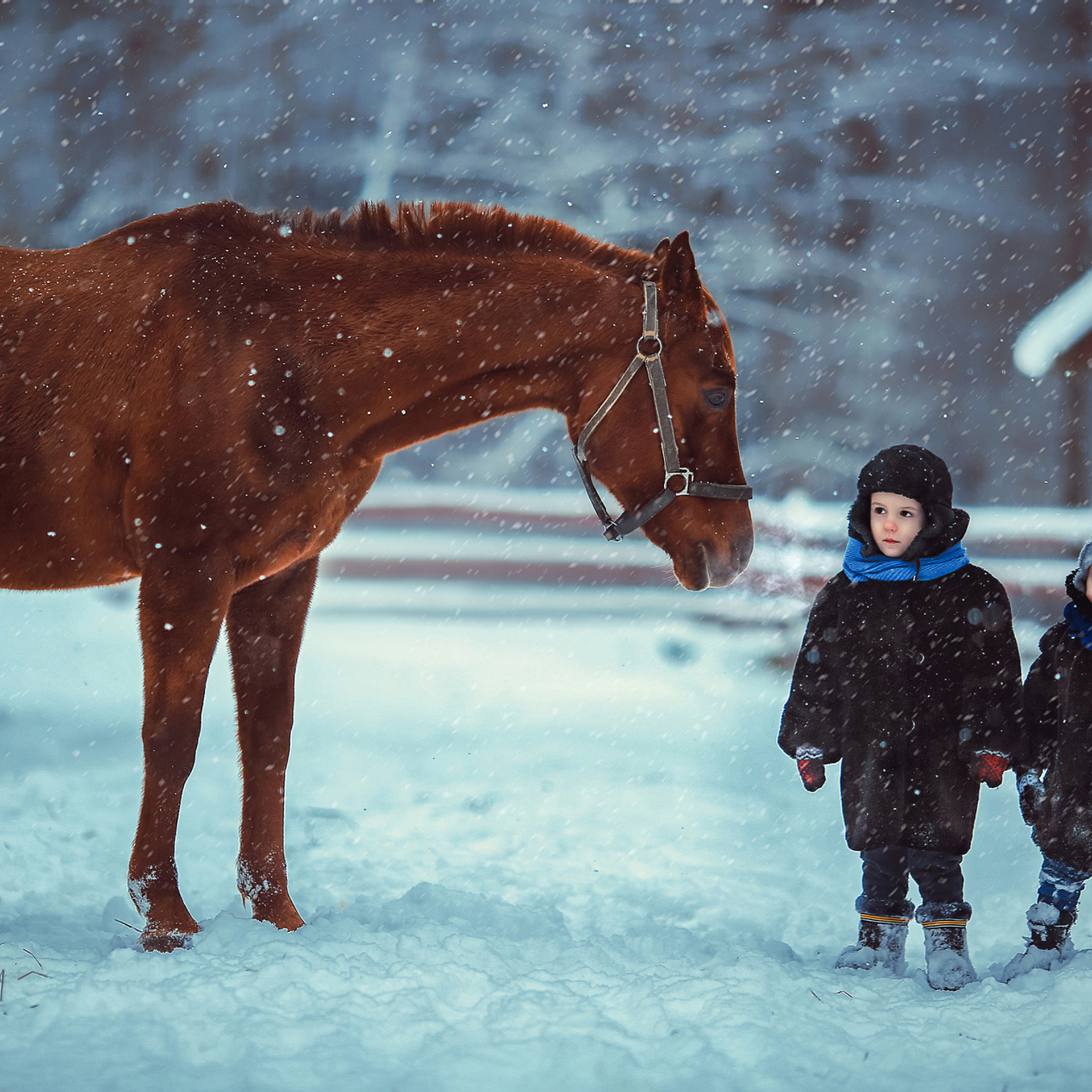 Рождественская история