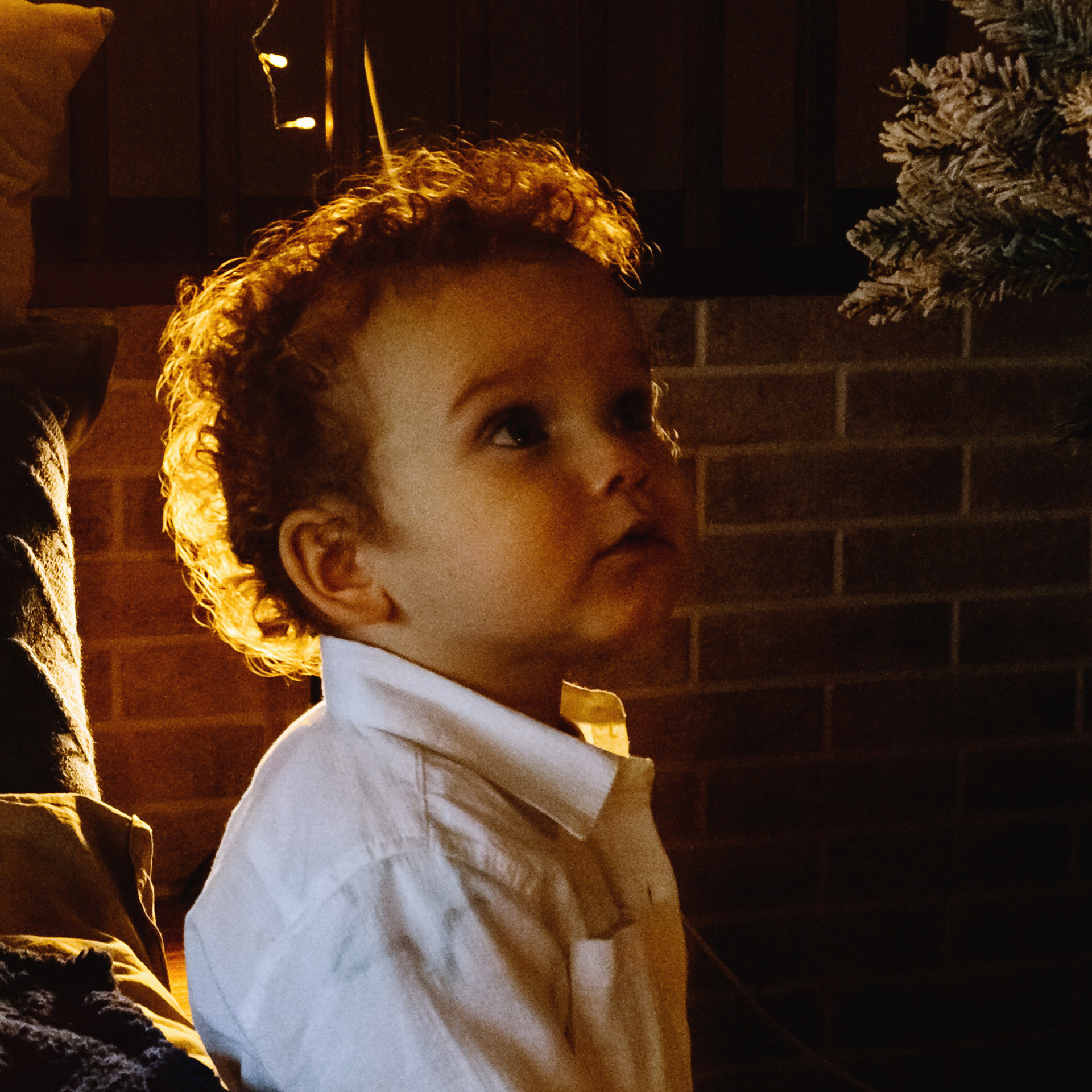 Фотосессия в студии Новогодняя.