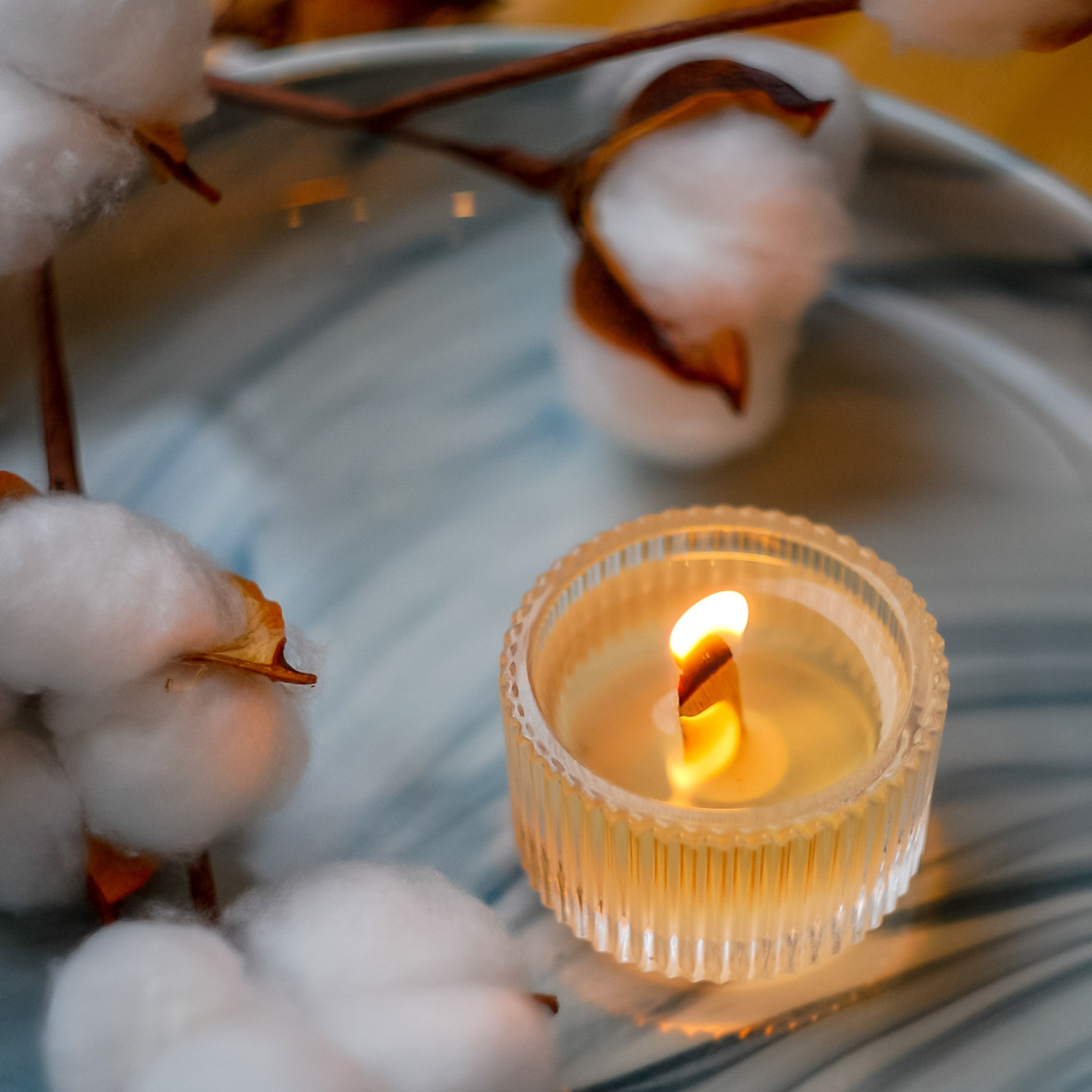 Предметная съёмка. Катерина Губанова