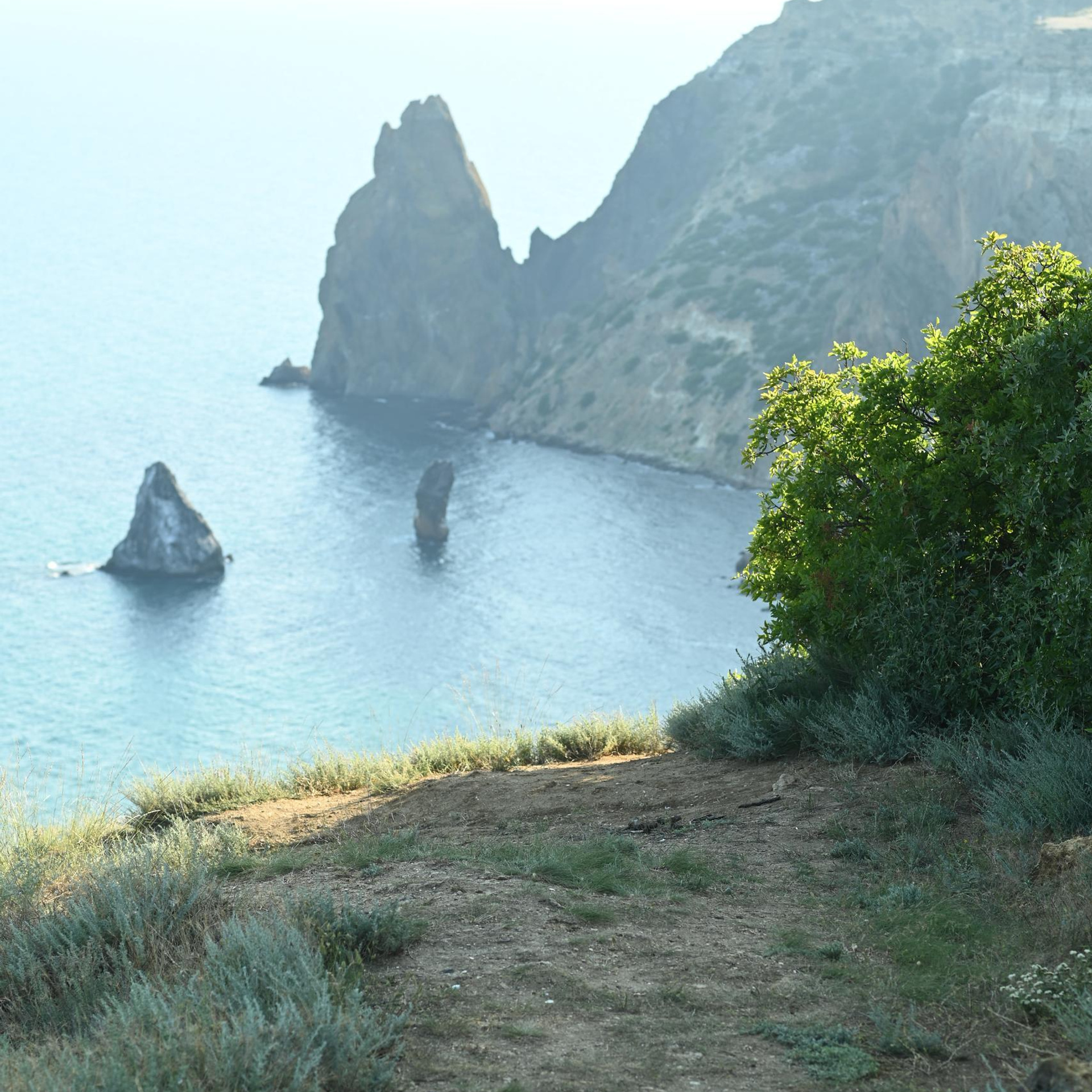 Отзывы. Семейный и свадебный фотограф в Севастополе Лиза Печенько