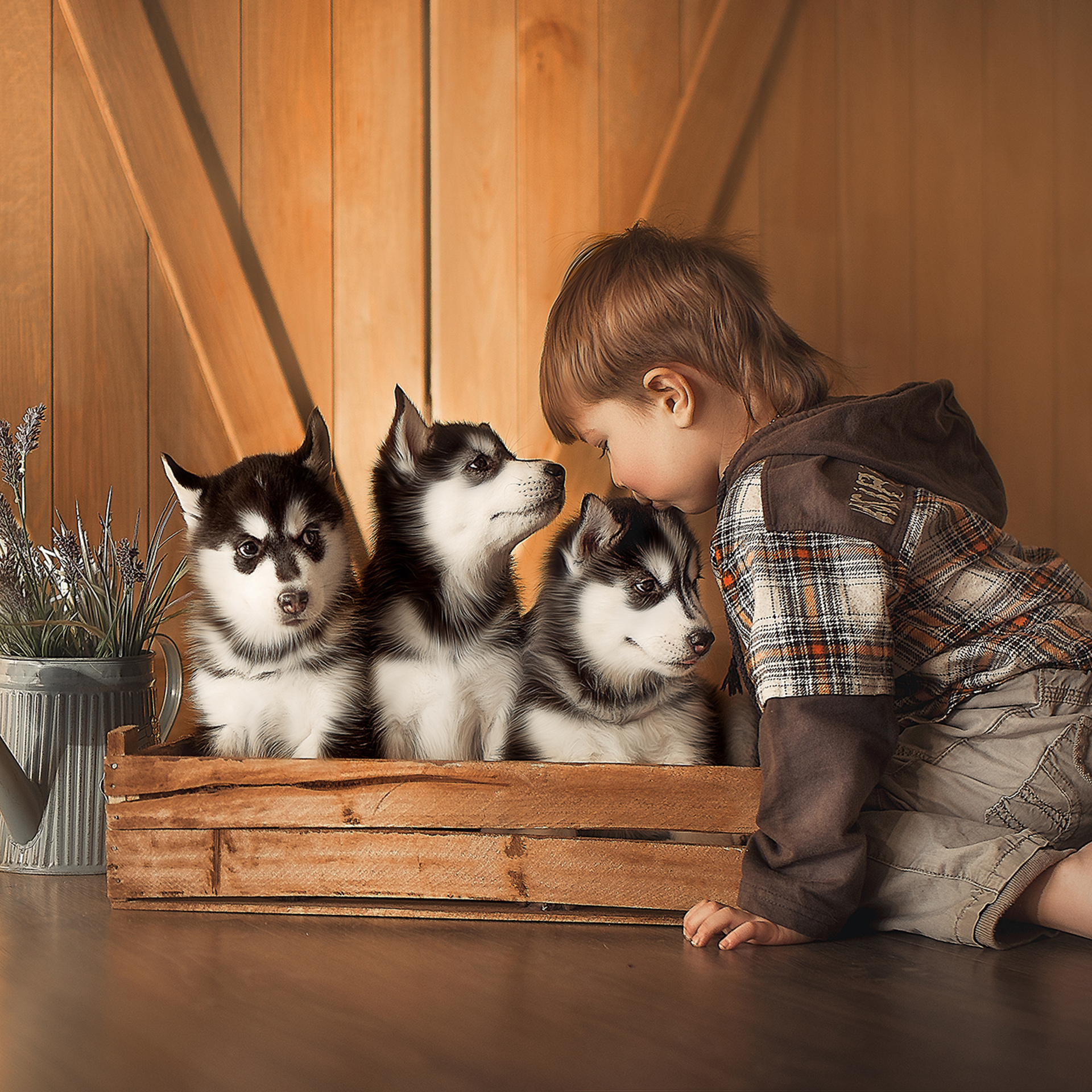 Мальчики. Татьяна Кам Арт - фотограф Ангарска