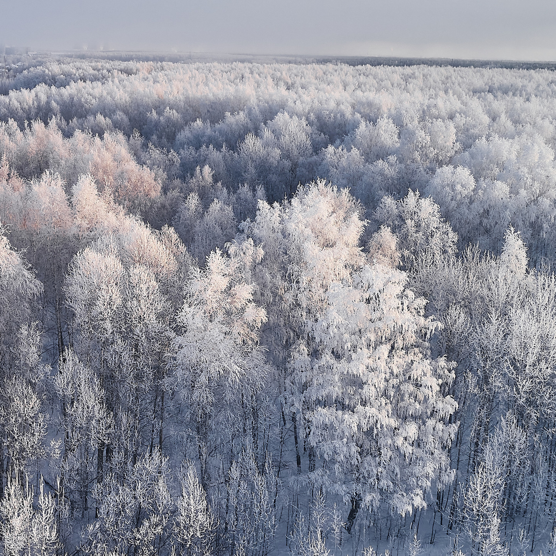 Отзывы. Иван Март Свадебный и портретный фотограф Тюмень