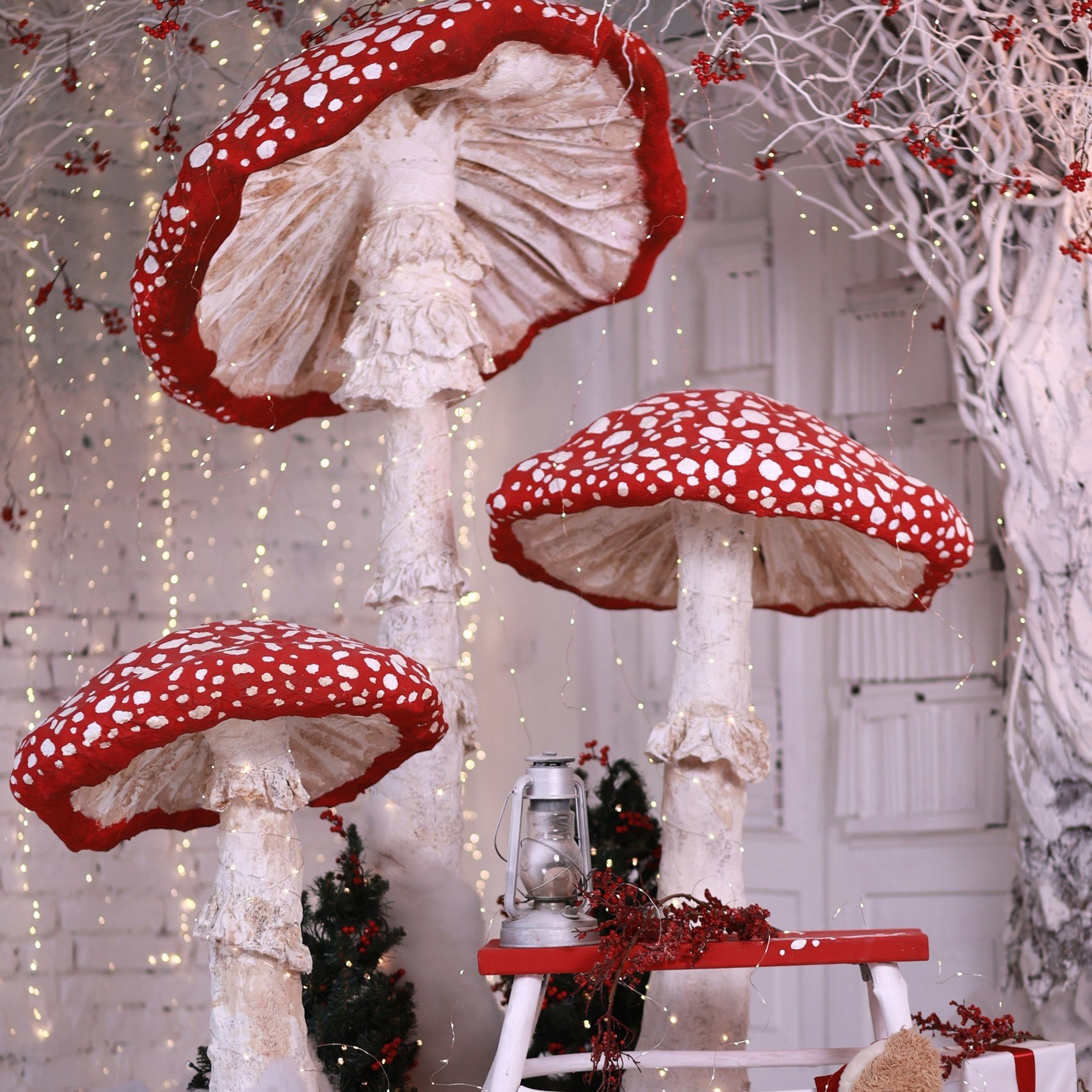 Фотостудия Alice