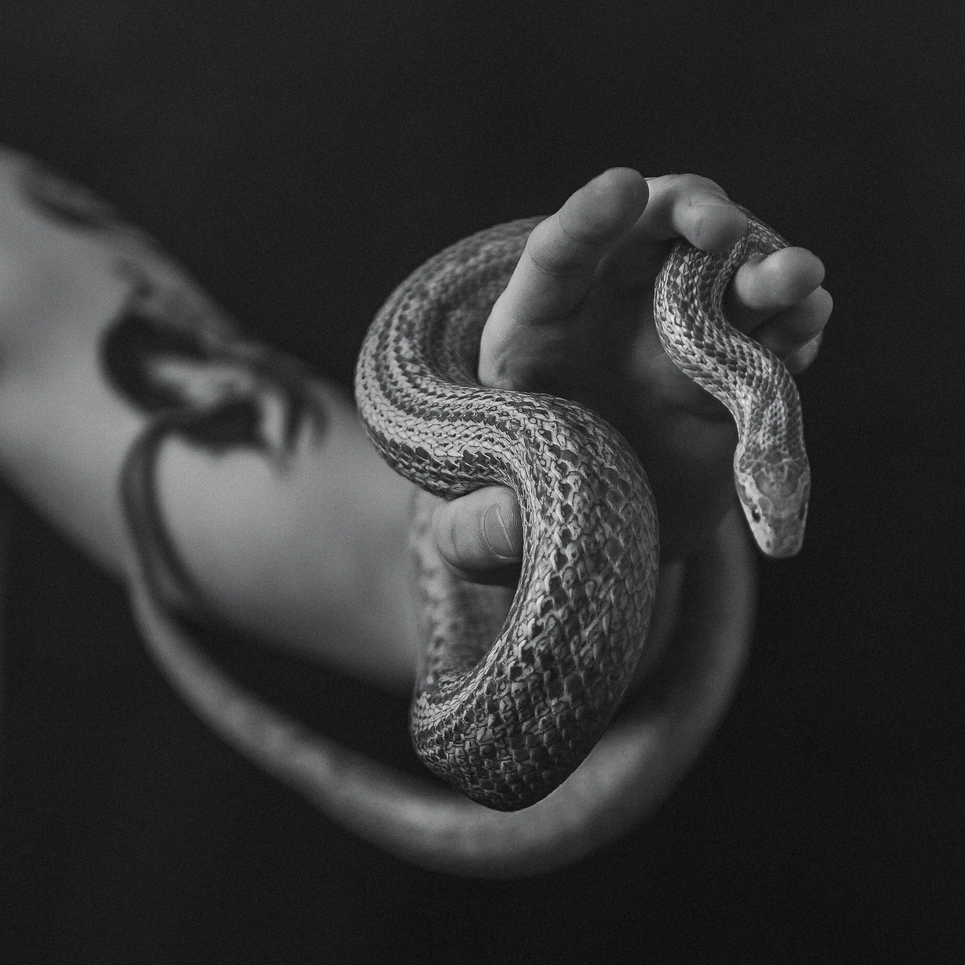 Смелый фотосет