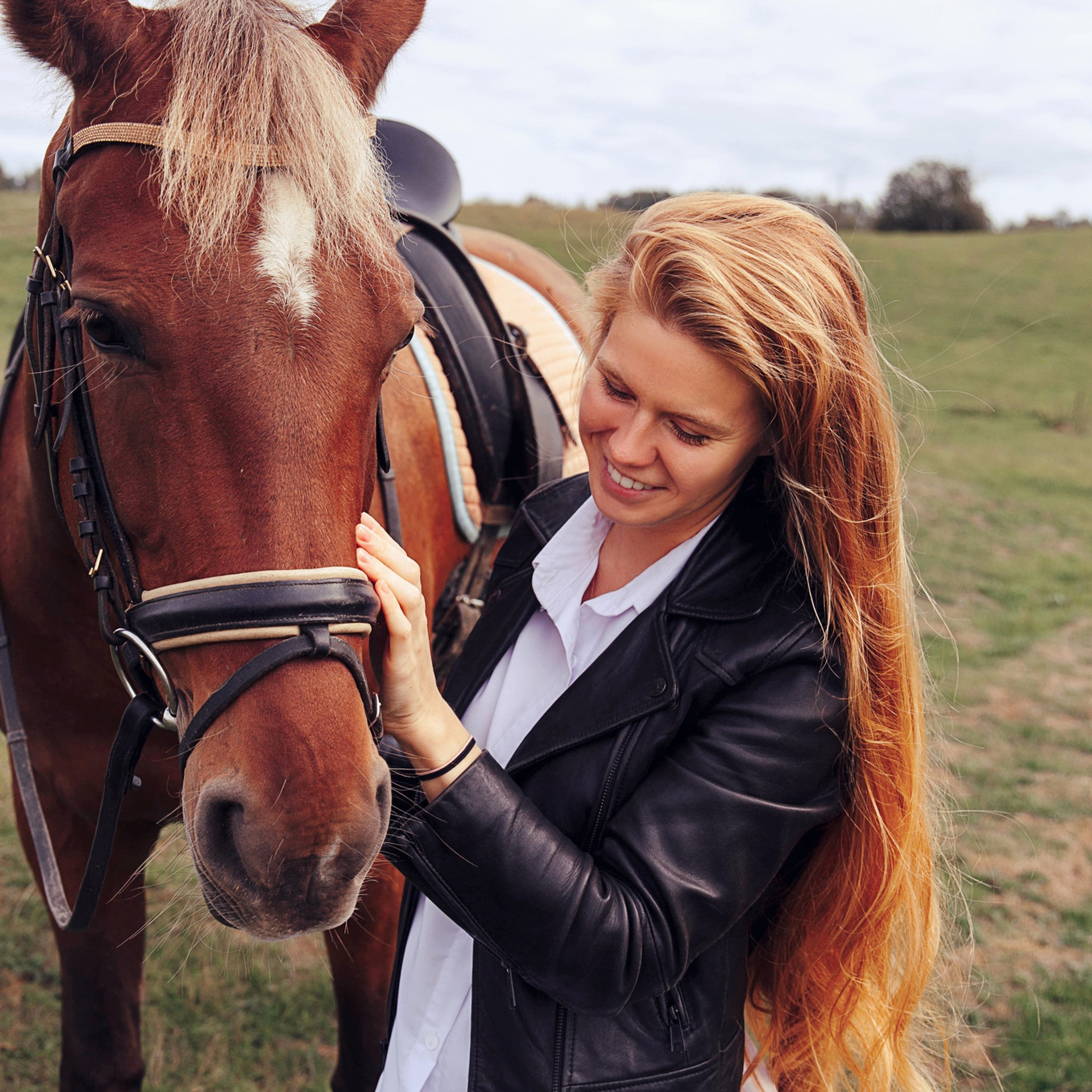 Прогулки на лошадях