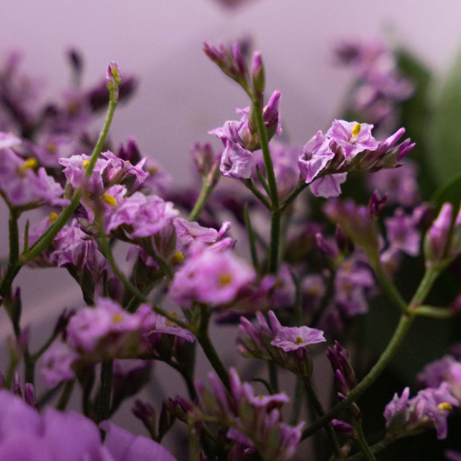 Отзывы о работе контентного фотографа в Курске | Юлия Болычева. Контентная съёмка в Курске | Юлия Болычева