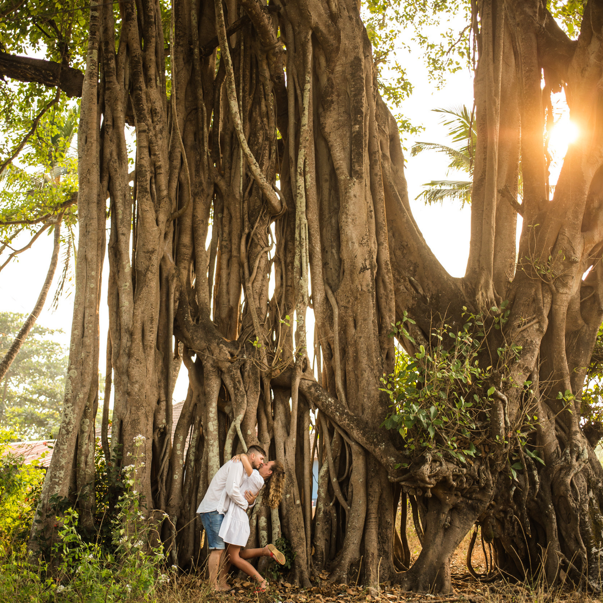 Reviews. Darin the photographer