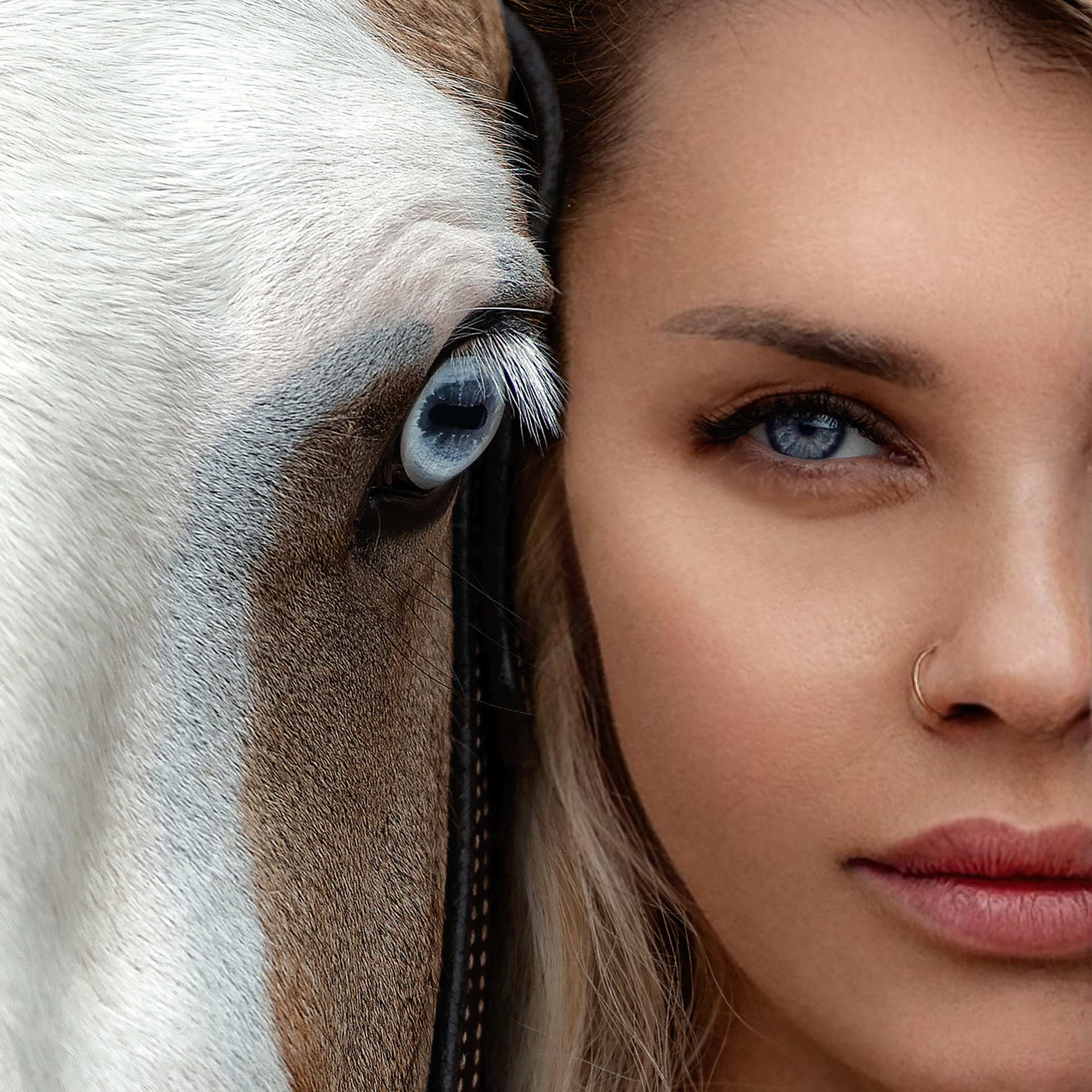 Отзывы. Конный фотограф в Москве — Дарья Алексеева | Премиальные фотосессии с лошадьми