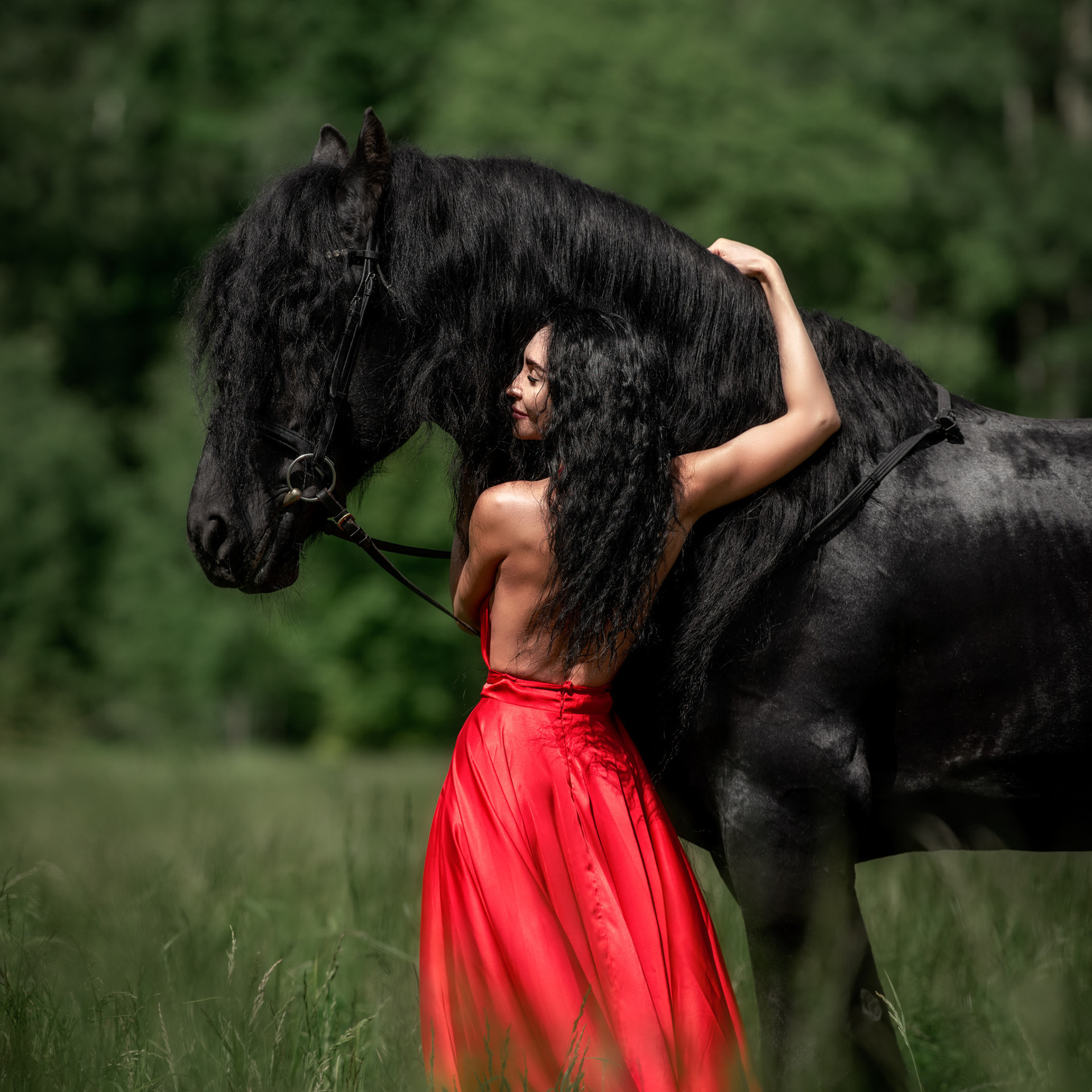 Отзывы. Конный фотограф в Москве — Дарья Алексеева | Премиальные фотосессии с лошадьми
