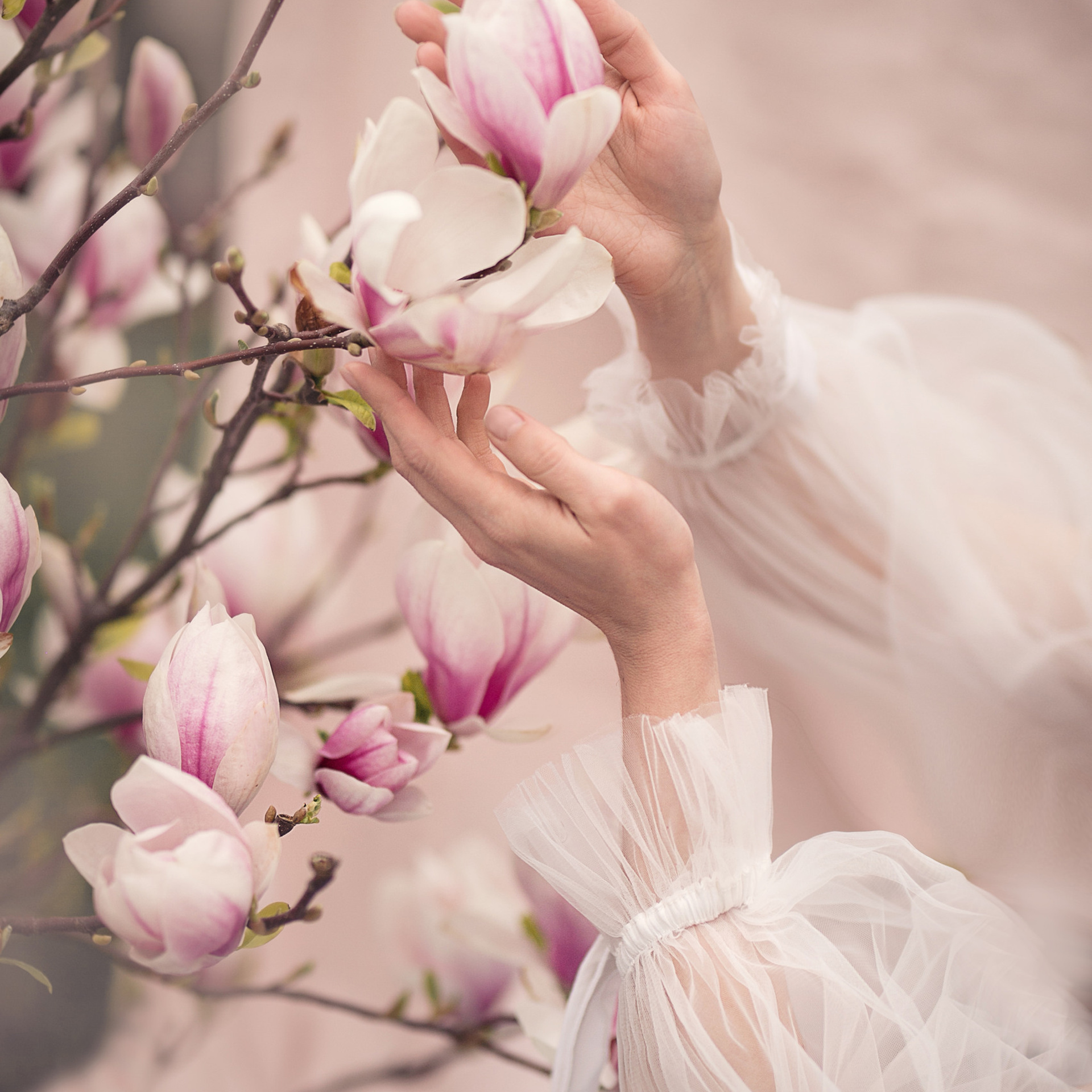 Отзывы. Фотограф беременности и семейный фотограф в Могилеве, Минске Елена Шин