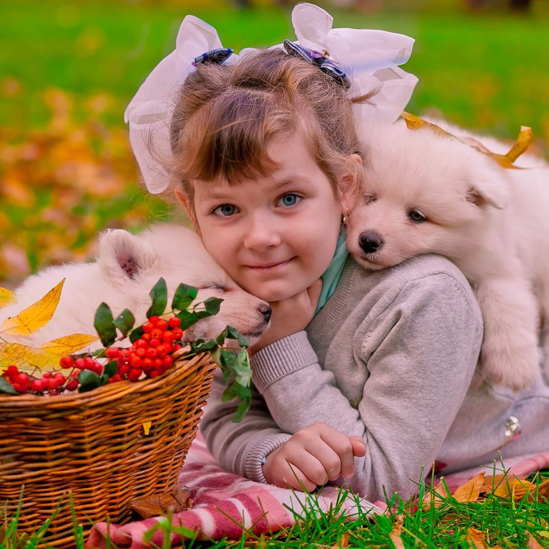 Фотодень с собачками