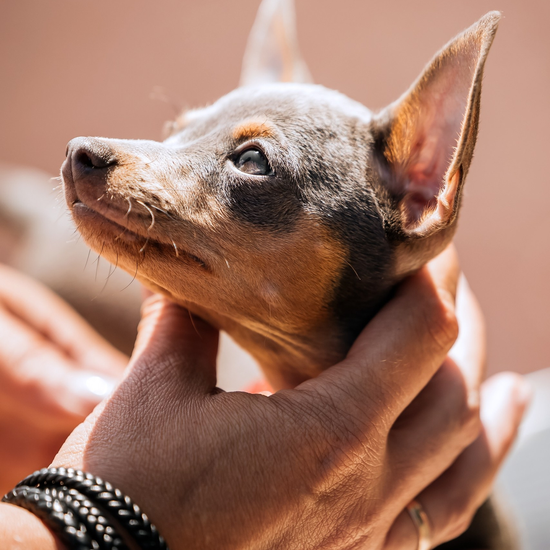 Фотограф Нелли Самойлова