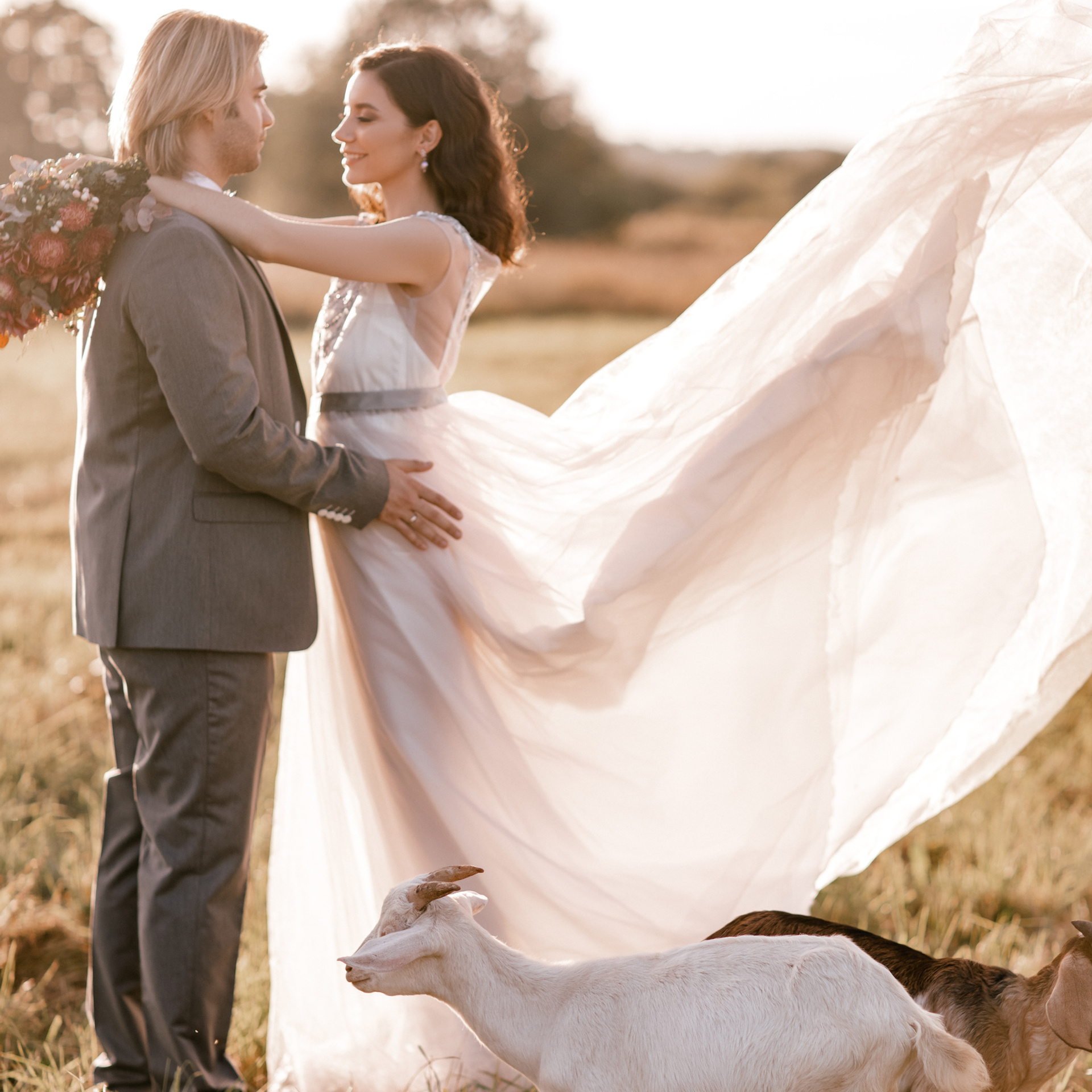 Lll. @dariazphoto свадебный фотограф