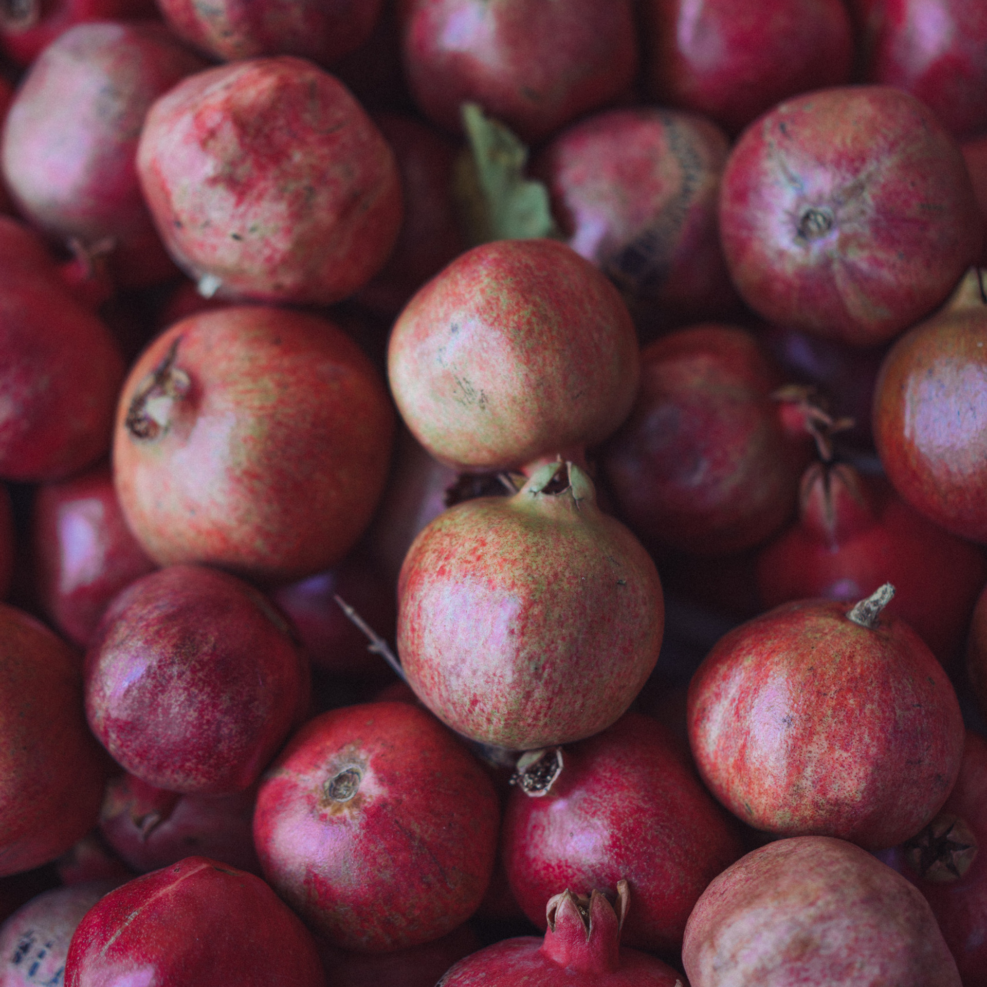 Отзывы. Свадебный и семейный фотограф в Калининграде Анастасия Гриценко