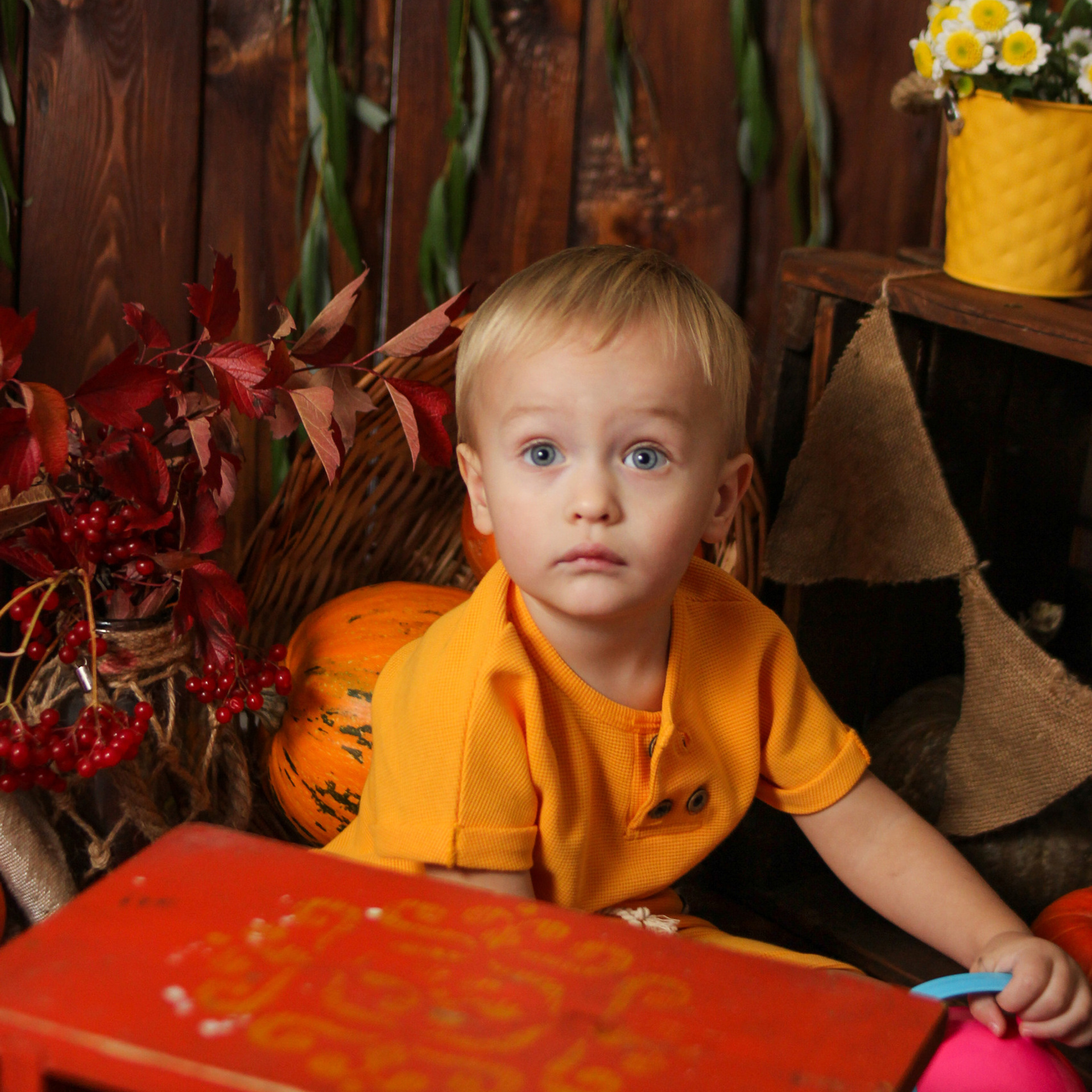 Отзывы. ФОТОГРАФ НОВОРОЖДЁННЫХ И ДЕТЕЙ ДО 3 ЛЕТ