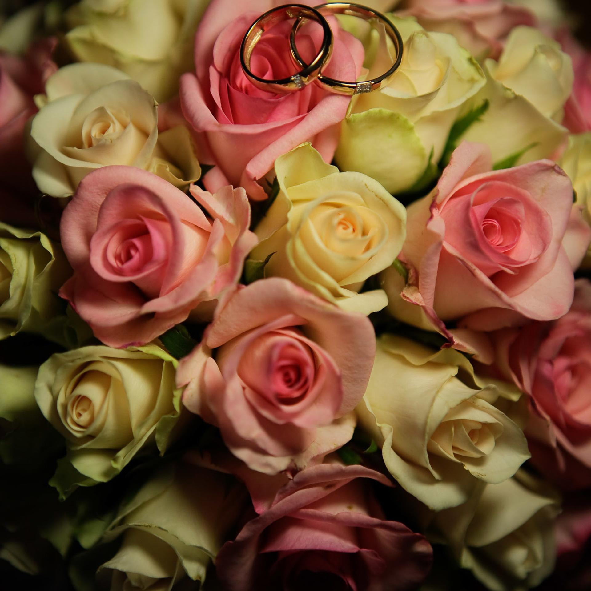 Свадебный фотограф в Ростове-на-Дону. Свадебная фотография в Ростове-н. Максим Матвийченко и Виктория Басова профессионалы своего дела