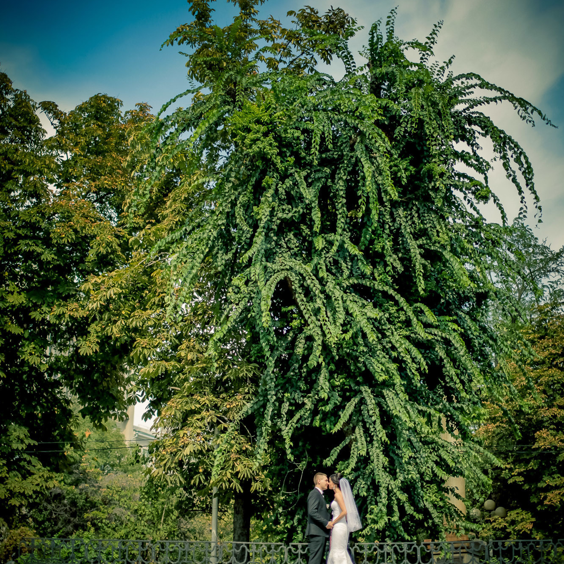Свадебный фотограф в Ростове-на-Дону. Свадебная фотография в Ростове-н. Максим Матвийченко и Виктория Басова профессионалы своего дела