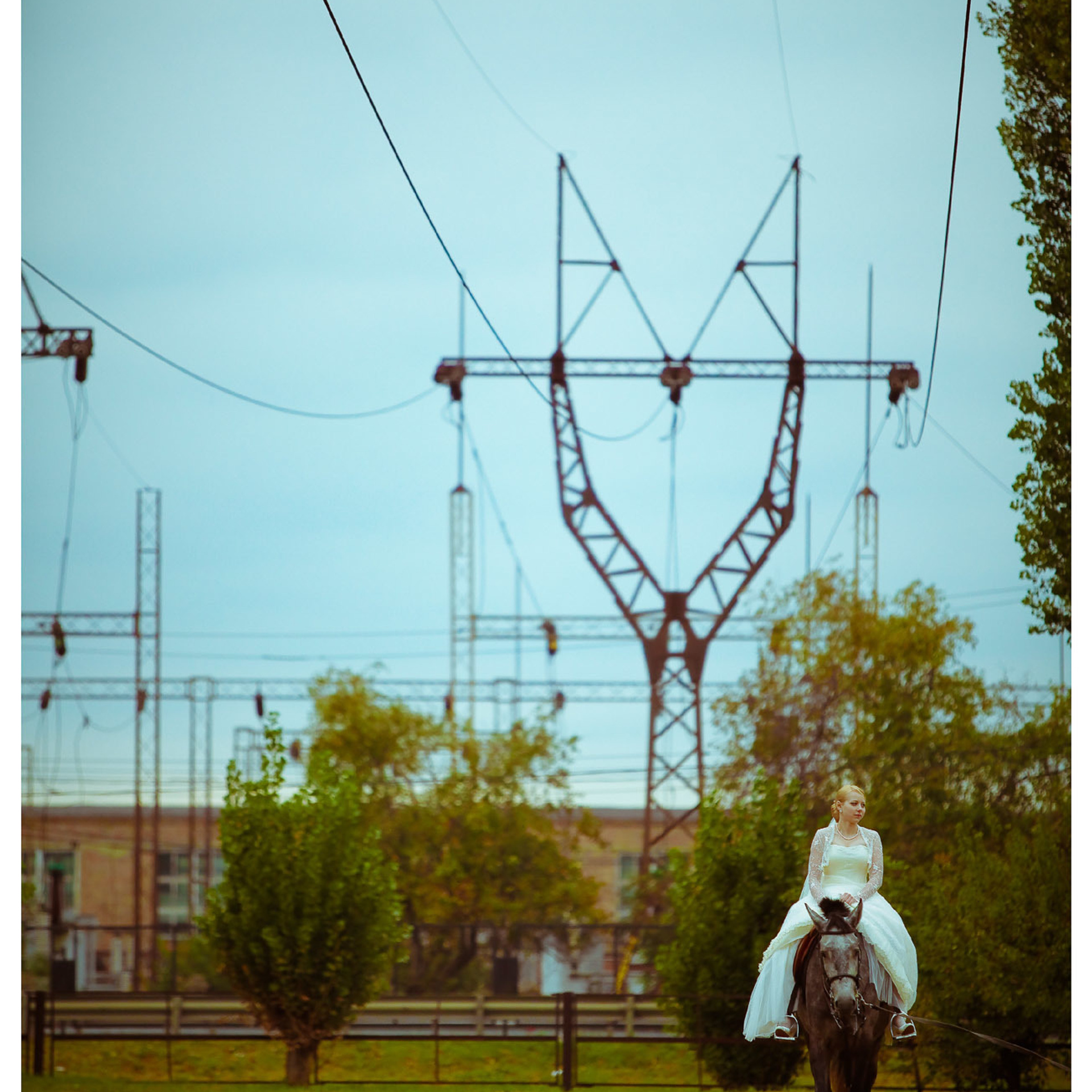 Свадебный фотограф в Ростове-на-Дону. Свадебная фотография в Ростове-н. Максим Матвийченко и Виктория Басова профессионалы своего дела