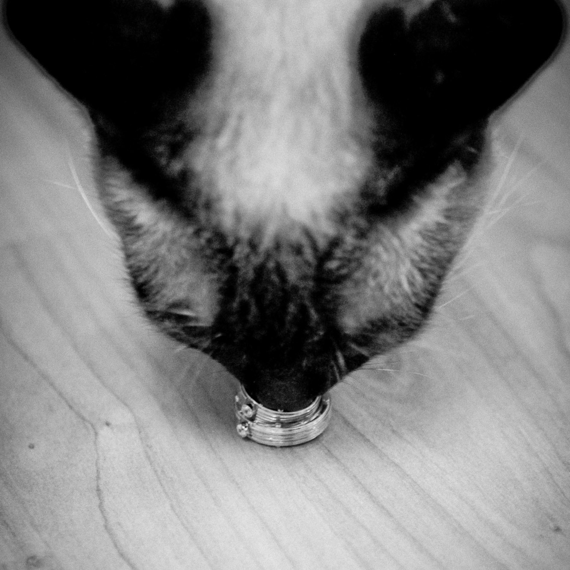 Свадебный фотограф в Ростове-на-Дону. Свадебная фотография в Ростове-н. Максим Матвийченко и Виктория Басова профессионалы своего дела