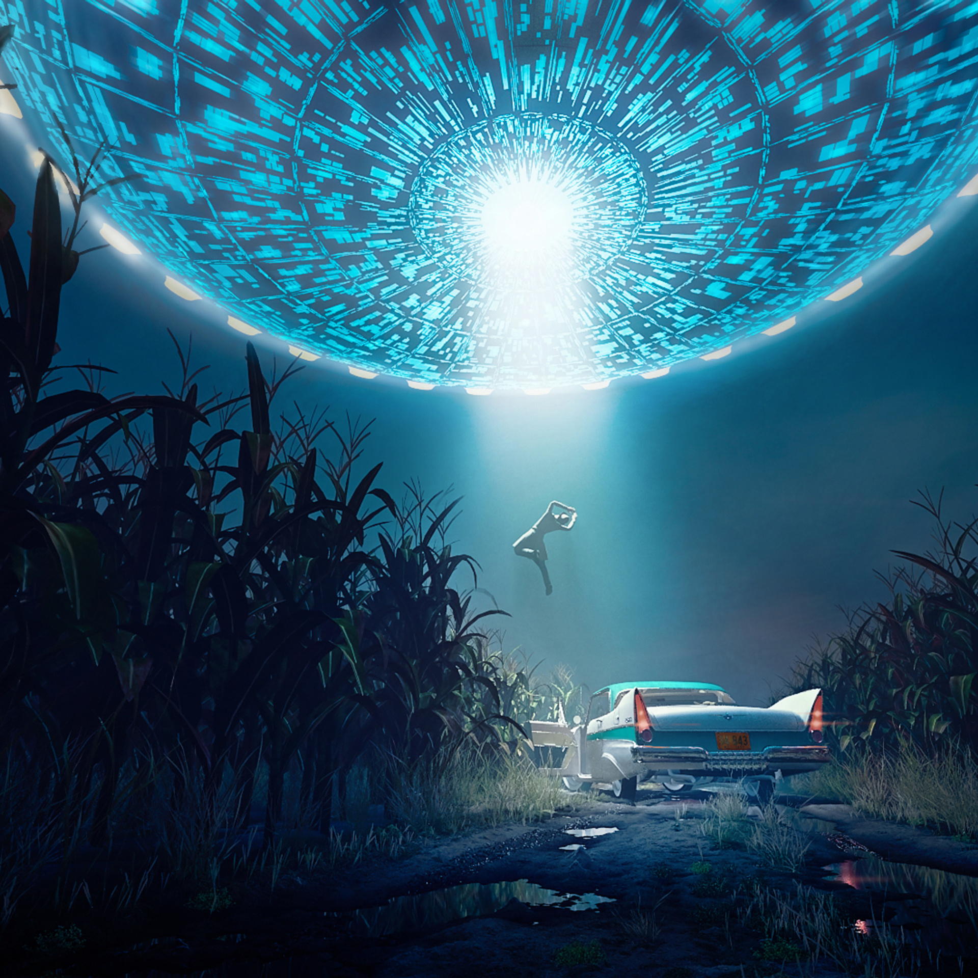 «What a .?». Максим Матвийченко и Виктория Басова профессионалы своего дела