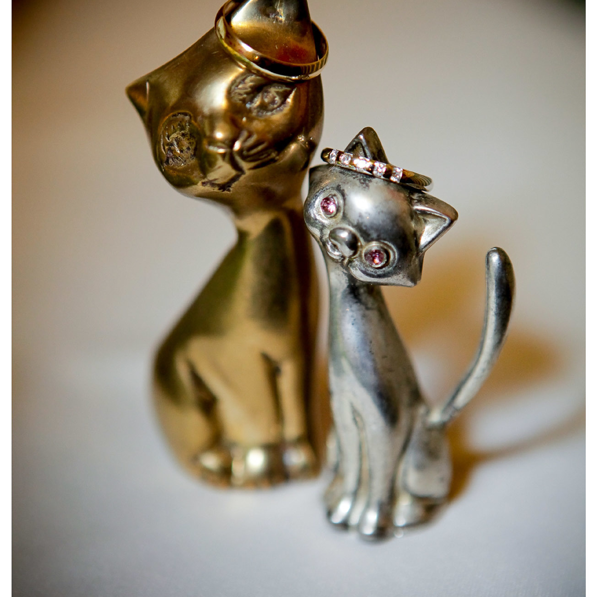 Свадебный фотограф в Ростове-на-Дону. Свадебная фотография в Ростове-н. Максим Матвийченко и Виктория Басова профессионалы своего дела