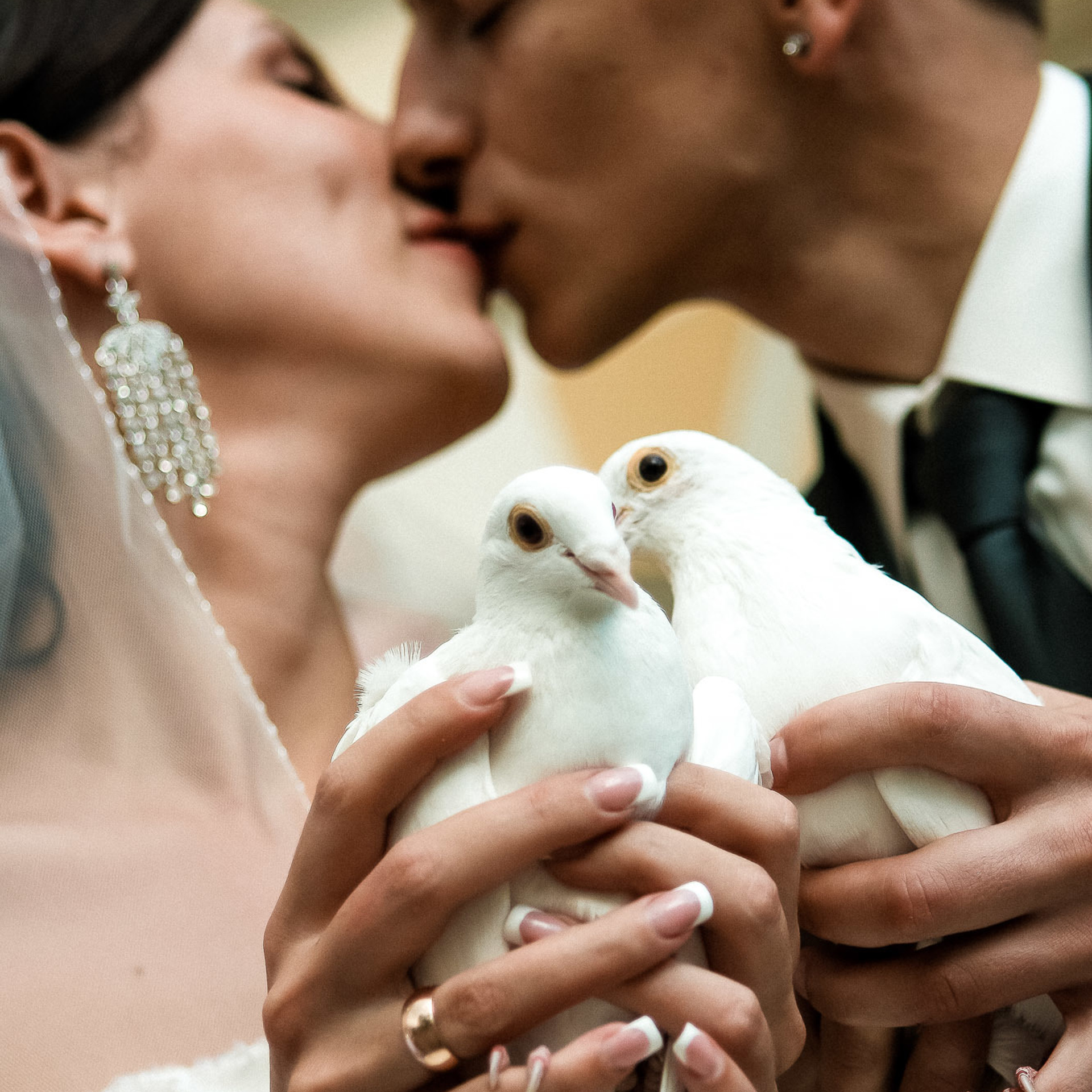 Свадебный фотограф в Ростове-на-Дону. Свадебная фотография в Ростове-н. Максим Матвийченко и Виктория Басова профессионалы своего дела