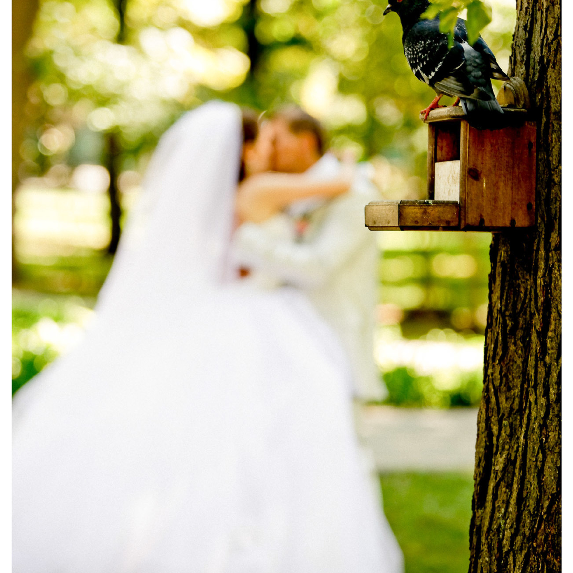Свадебный фотограф в Ростове-на-Дону. Свадебная фотография в Ростове-н. Максим Матвийченко и Виктория Басова профессионалы своего дела