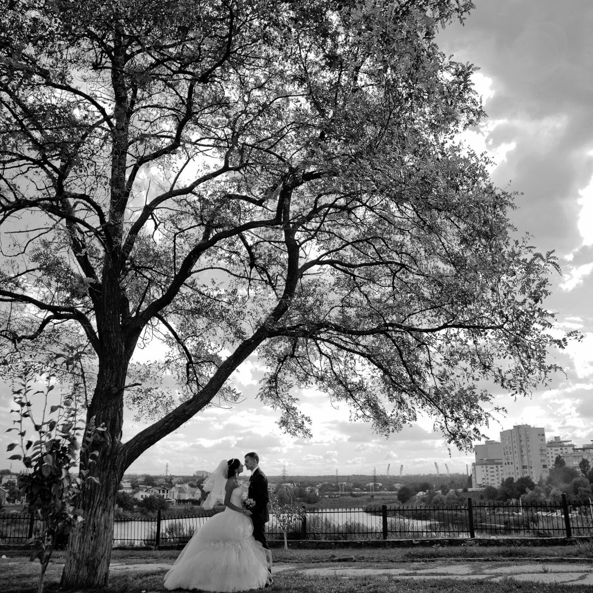 Свадебный фотограф в Ростове-на-Дону. Свадебная фотография в Ростове-н. Максим Матвийченко и Виктория Басова профессионалы своего дела