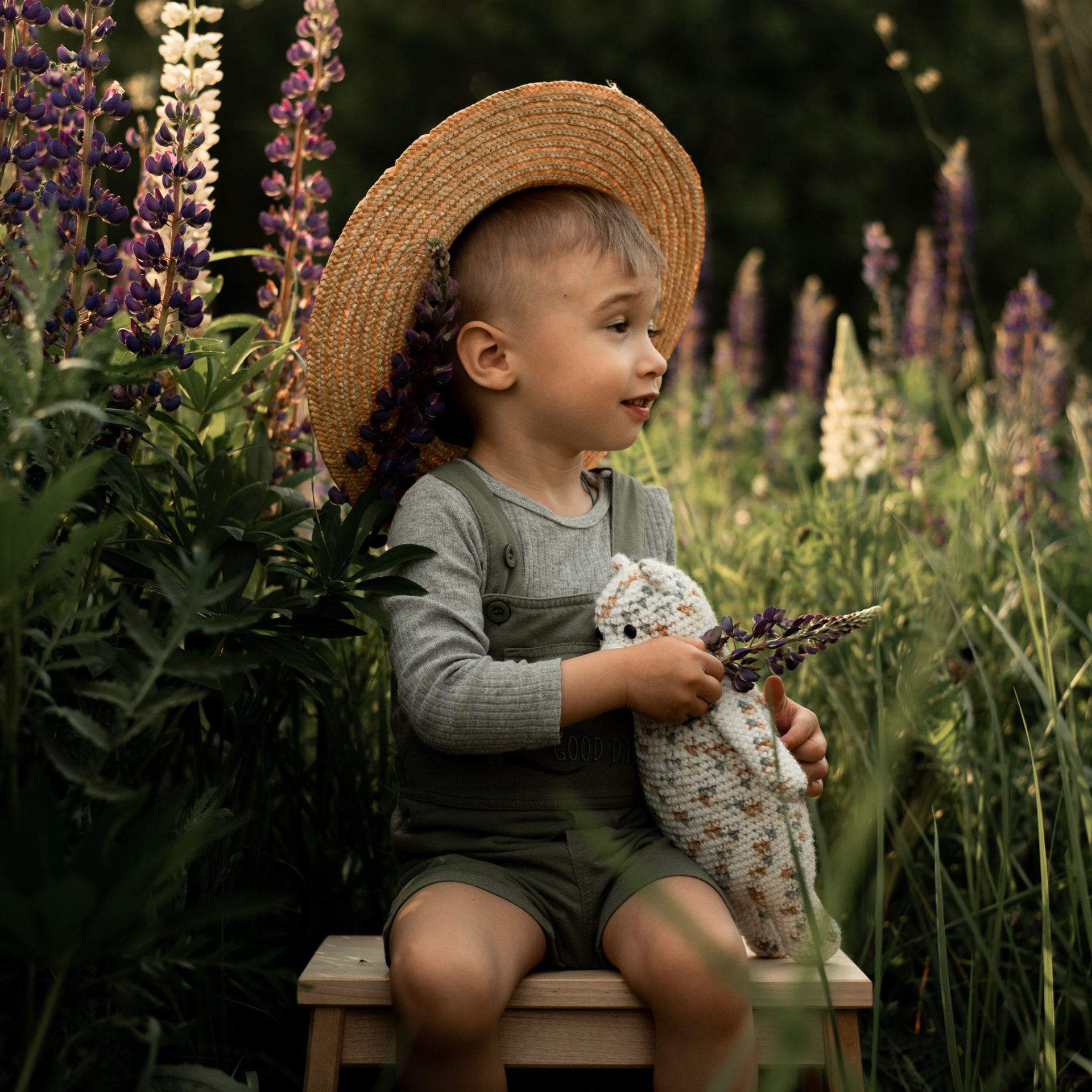 Отзывы. Семейный фотограф Екатерина Шаманаева