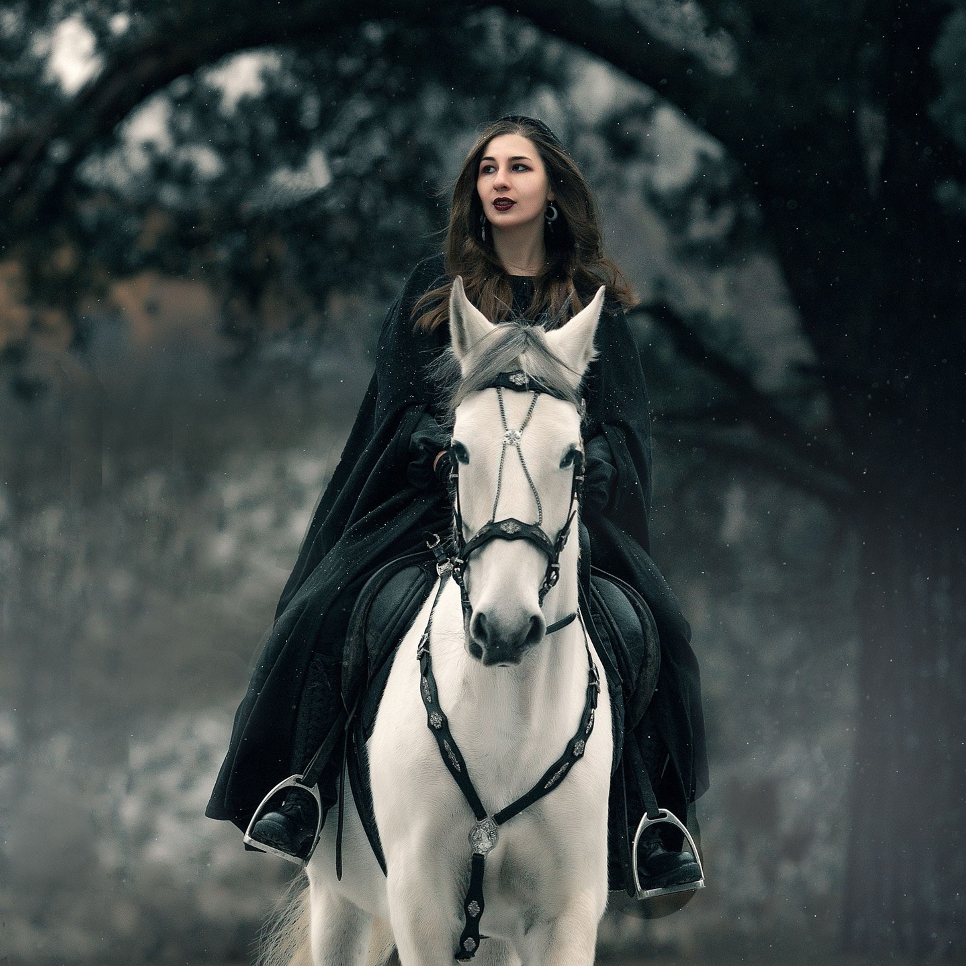 Отзывы. Фотограф в Калуге фотосессии с лошадьми в Калуге Грешнова Ольга