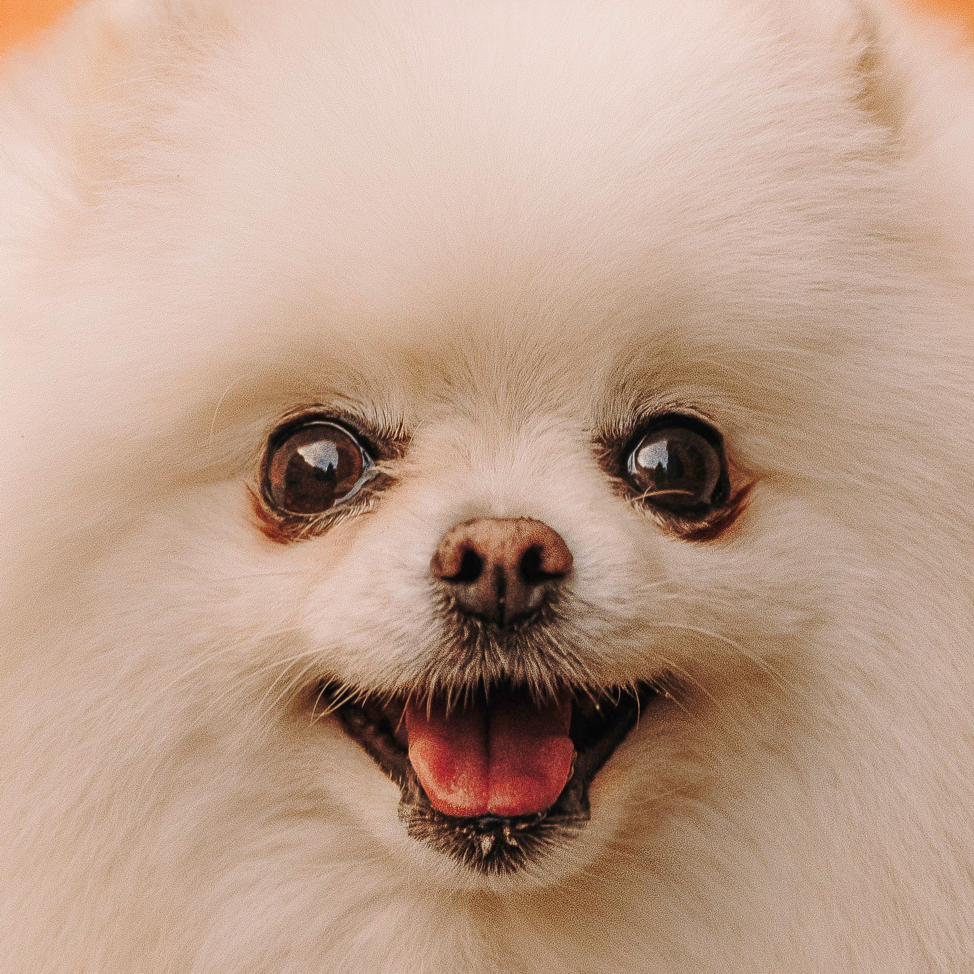 Ксения и Вата