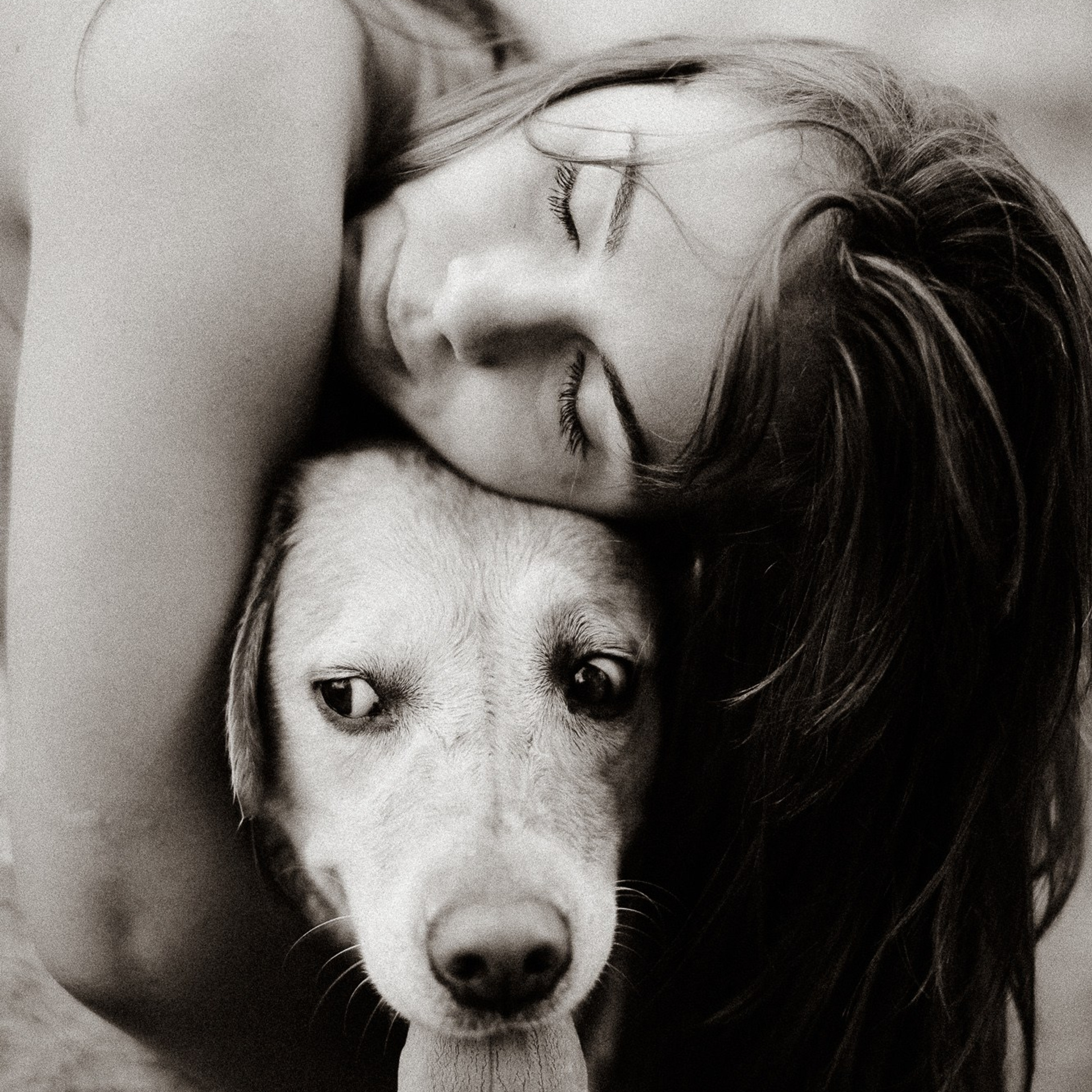 Лучший друг ЧБ
