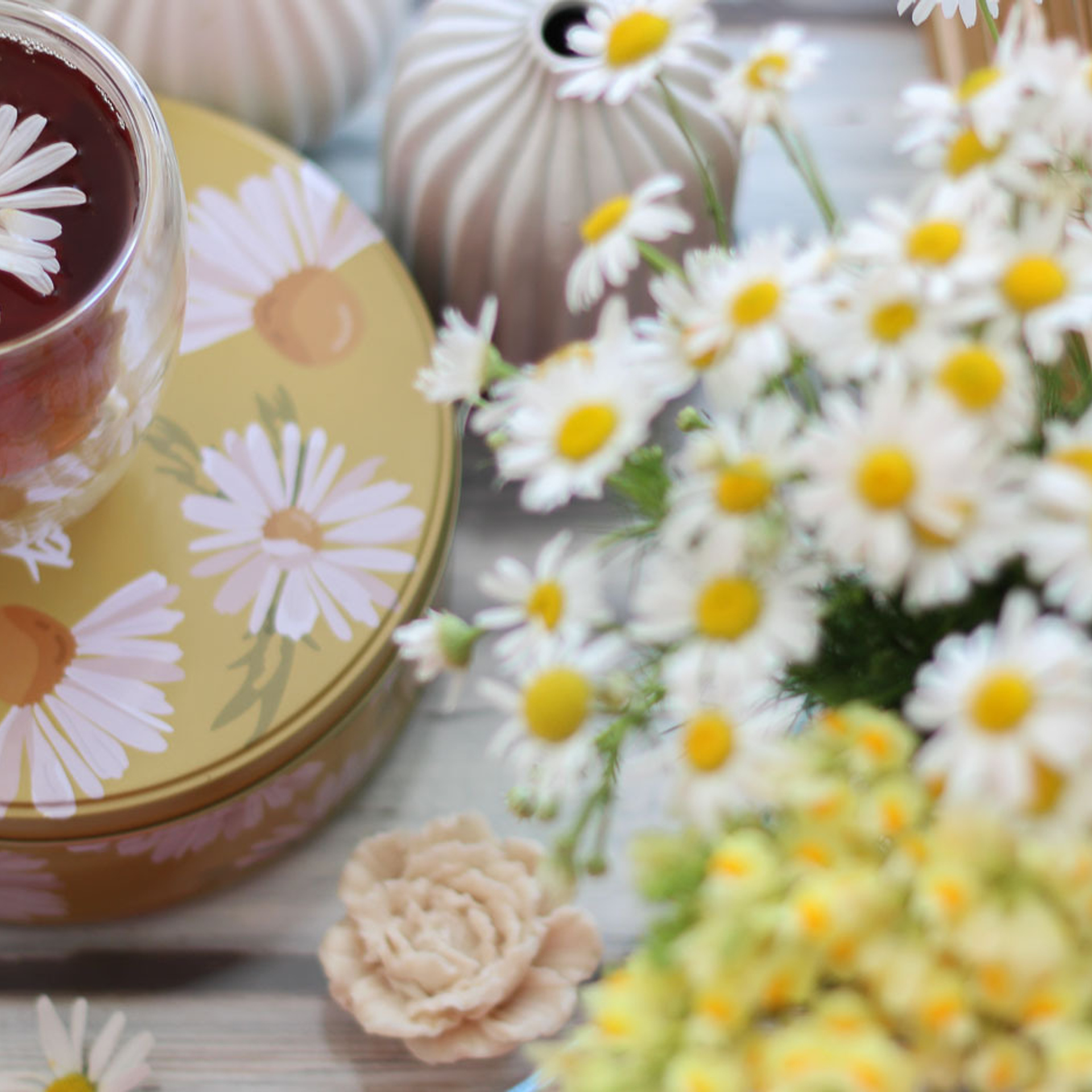 Флэтлей. Фотограф в Тюмени Вера Ильинова