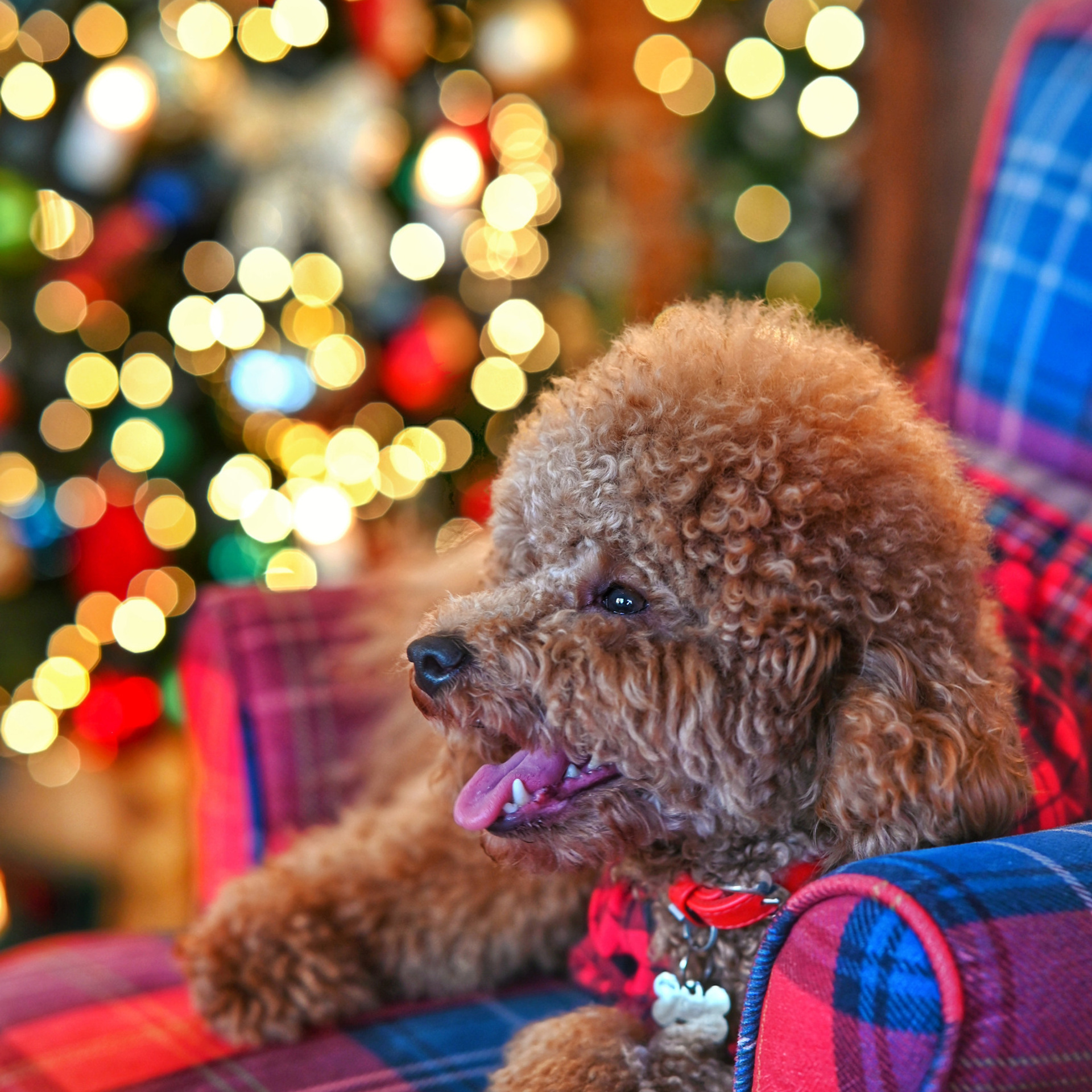 Отзывы. Детский фотограф в Москве