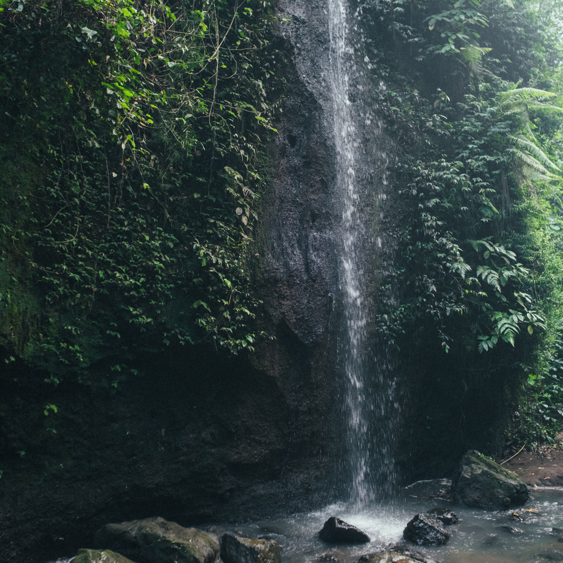 Отзывы. Фотограф Бали