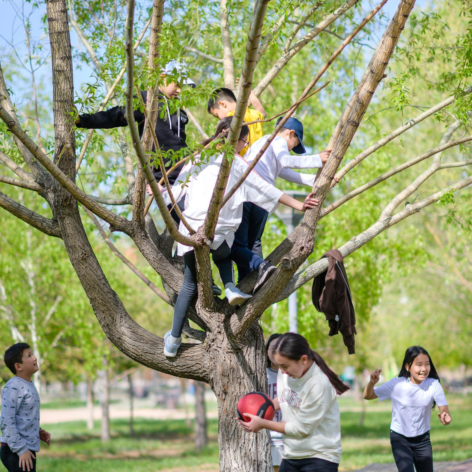 Отзывы. Фотограф-дизайнер Лейла Кабди