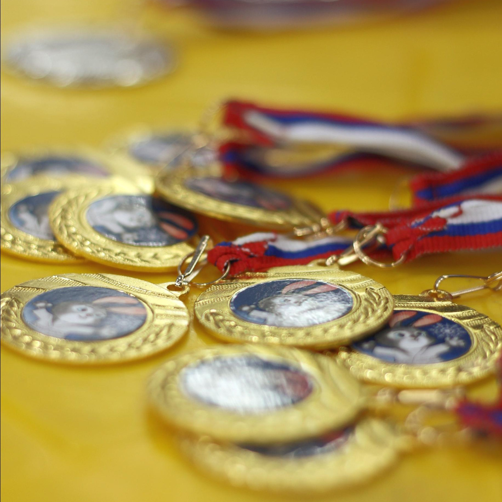 Отзывы. Портретный и репортажный фотограф г. Санкт-Петербург Елена Плахотникова