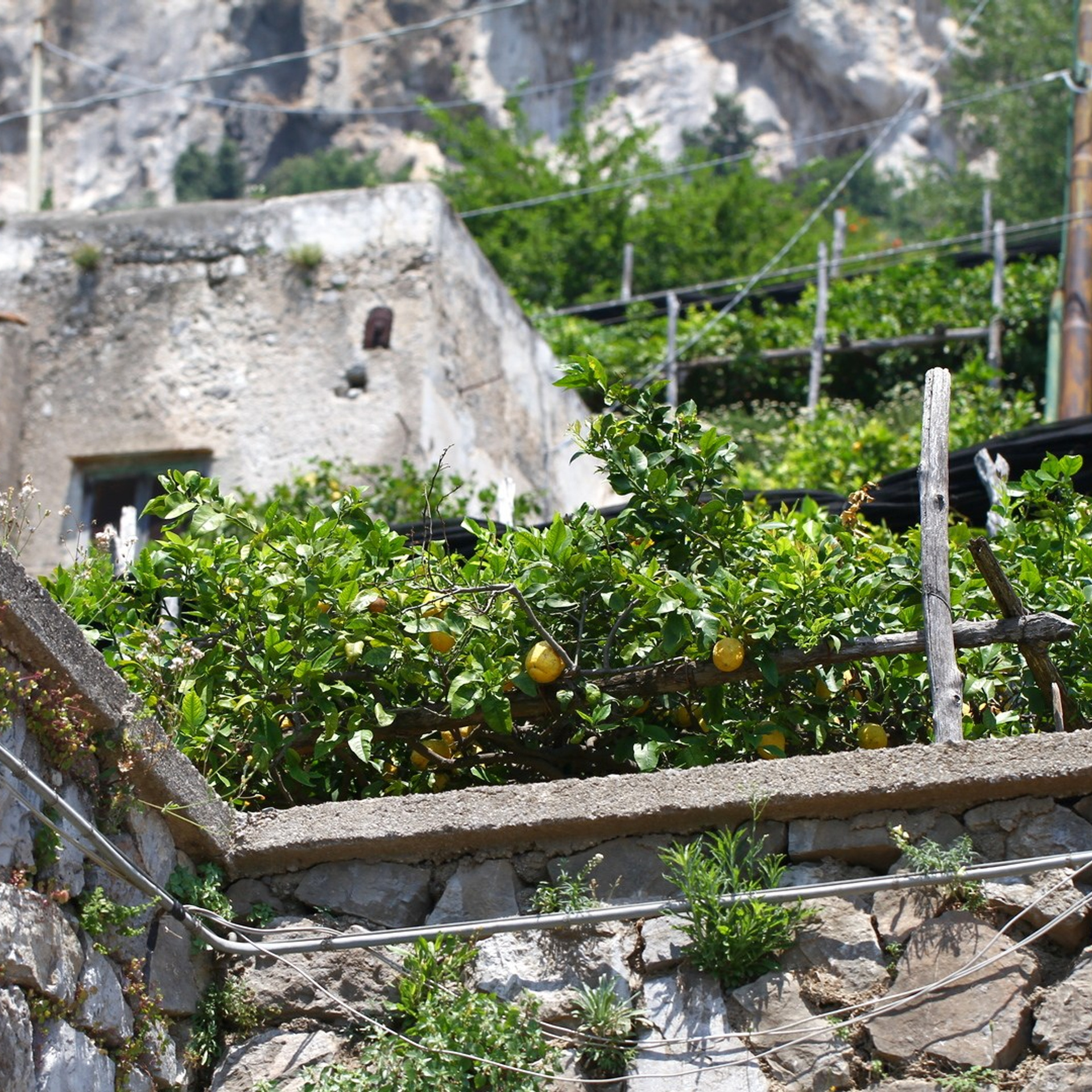 Италия. Амалфи, Бари 2012 г. Улица, люди, жизнь…