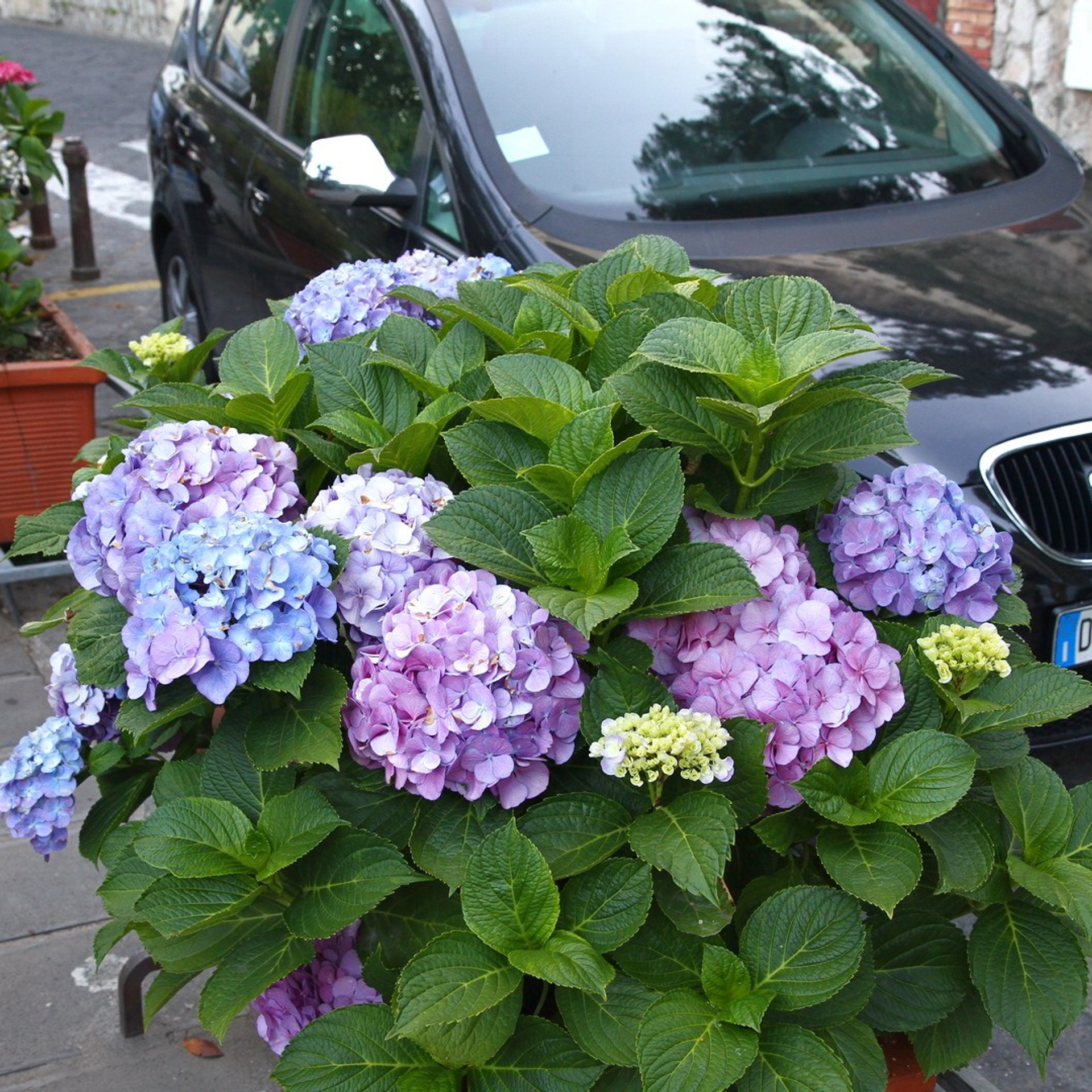 Италия. Амалфи, Бари 2012 г. Улица, люди, жизнь…