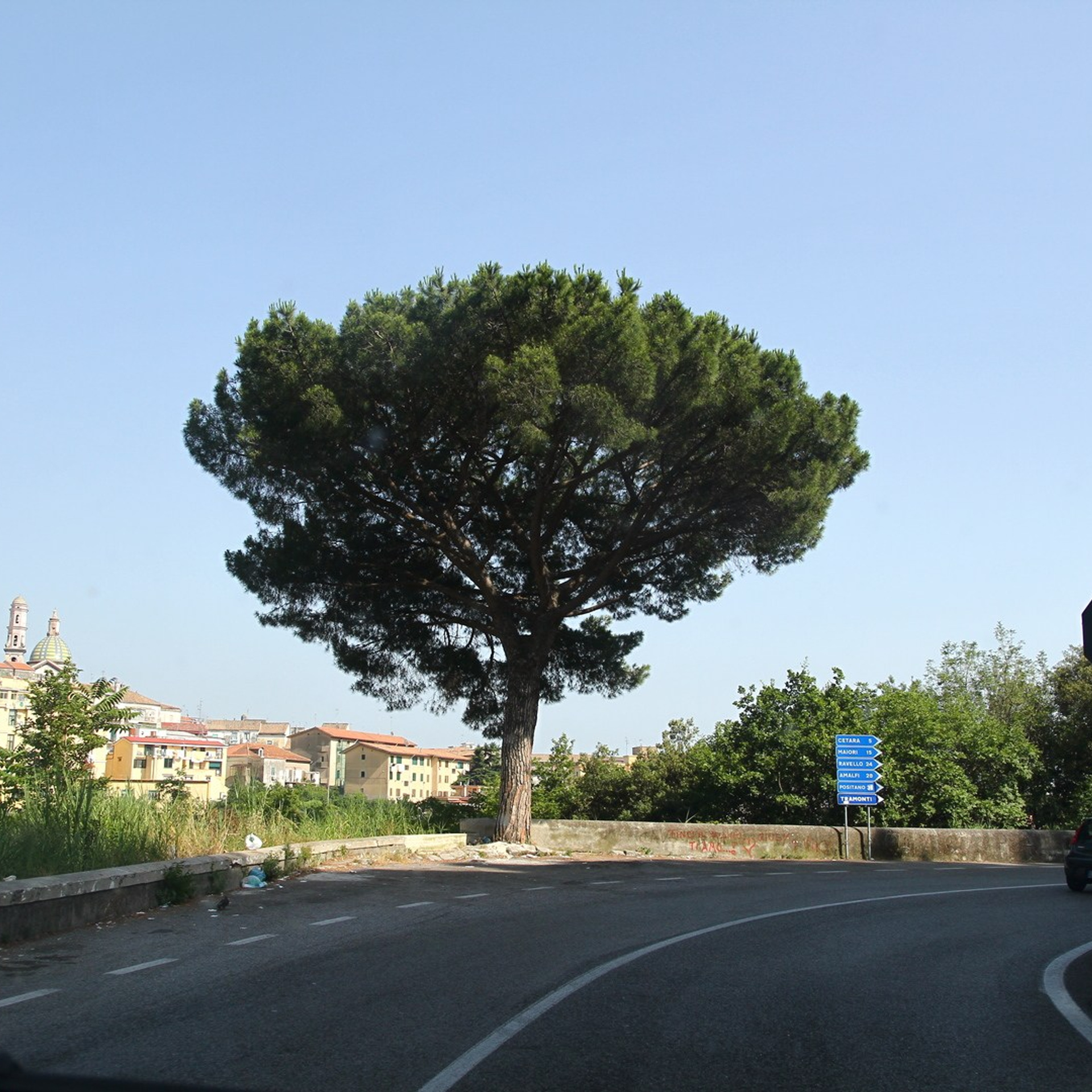 Италия. Амалфи, Бари 2012 г. Улица, люди, жизнь…