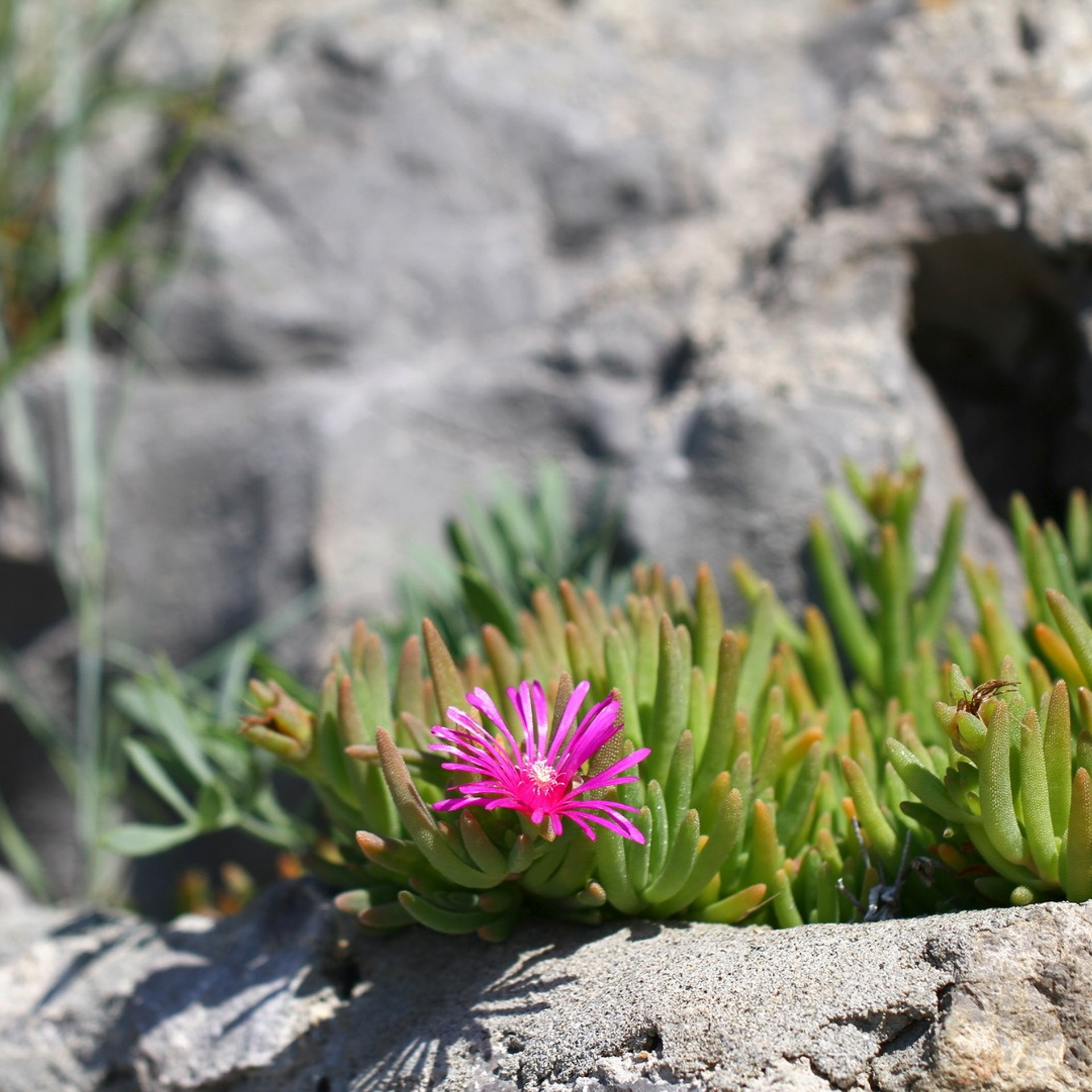 Италия. Амалфи, Бари 2012 г. Улица, люди, жизнь…