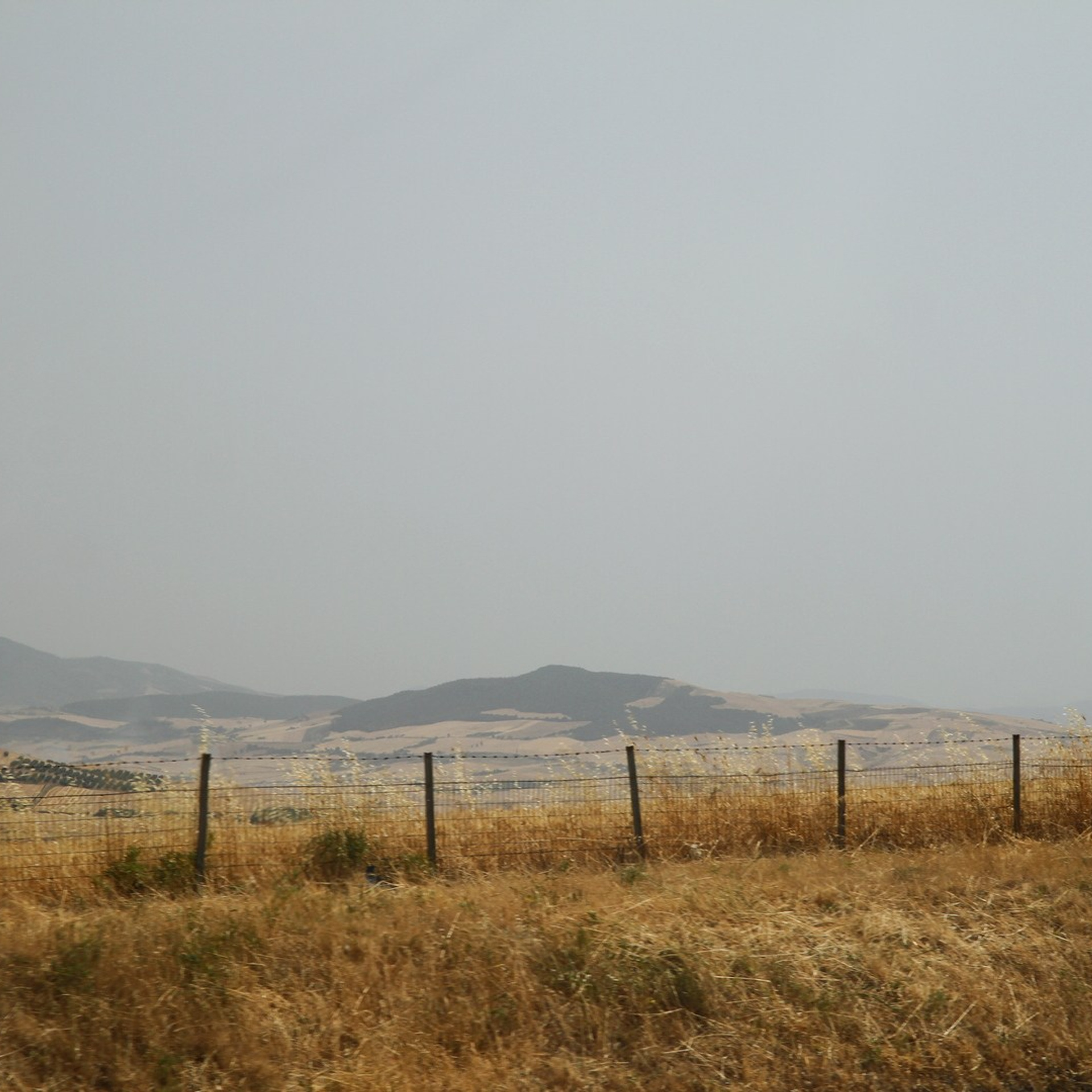 Италия. Амалфи, Бари 2012 г. Улица, люди, жизнь…