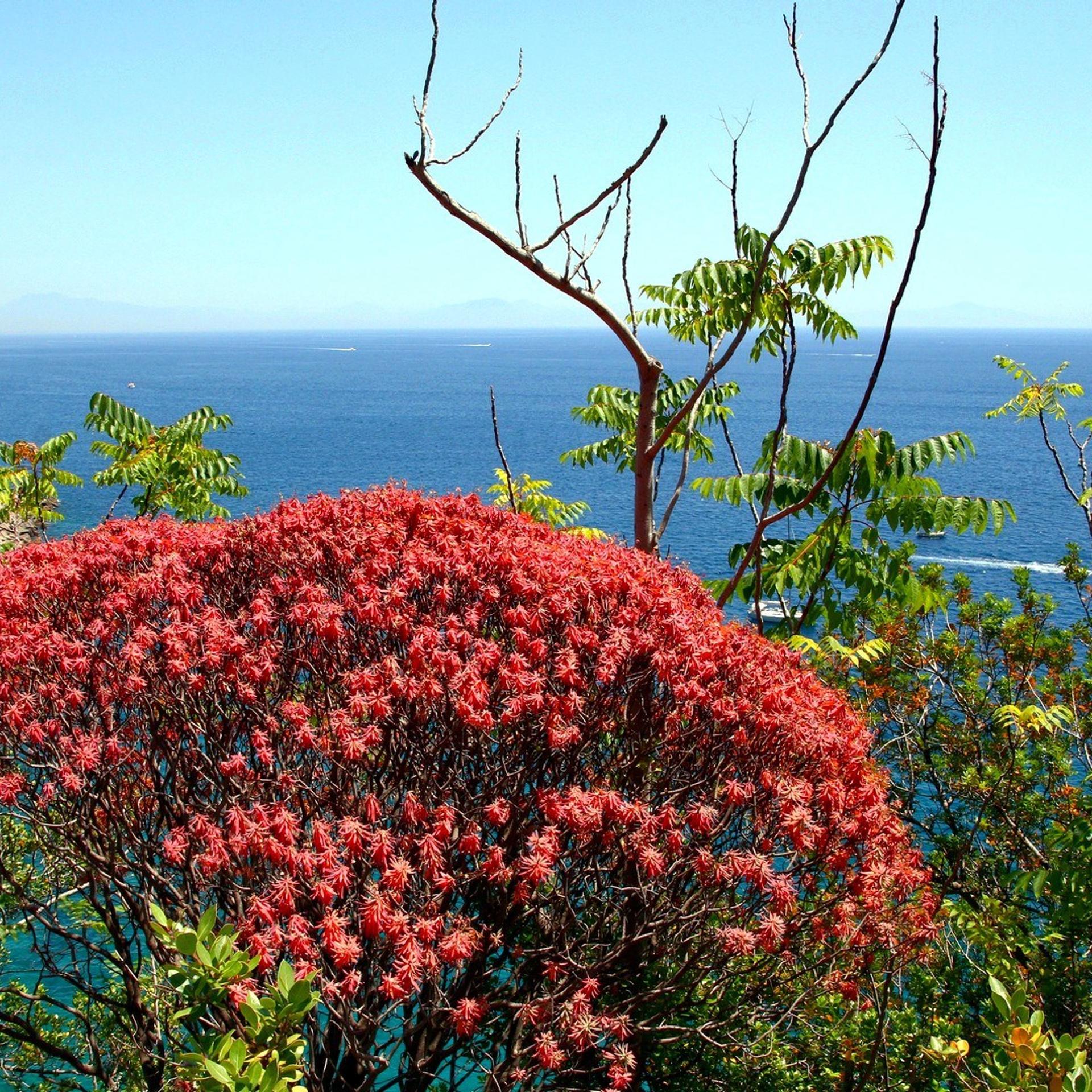 Италия. Амалфи, Бари 2012 г. Улица, люди, жизнь…