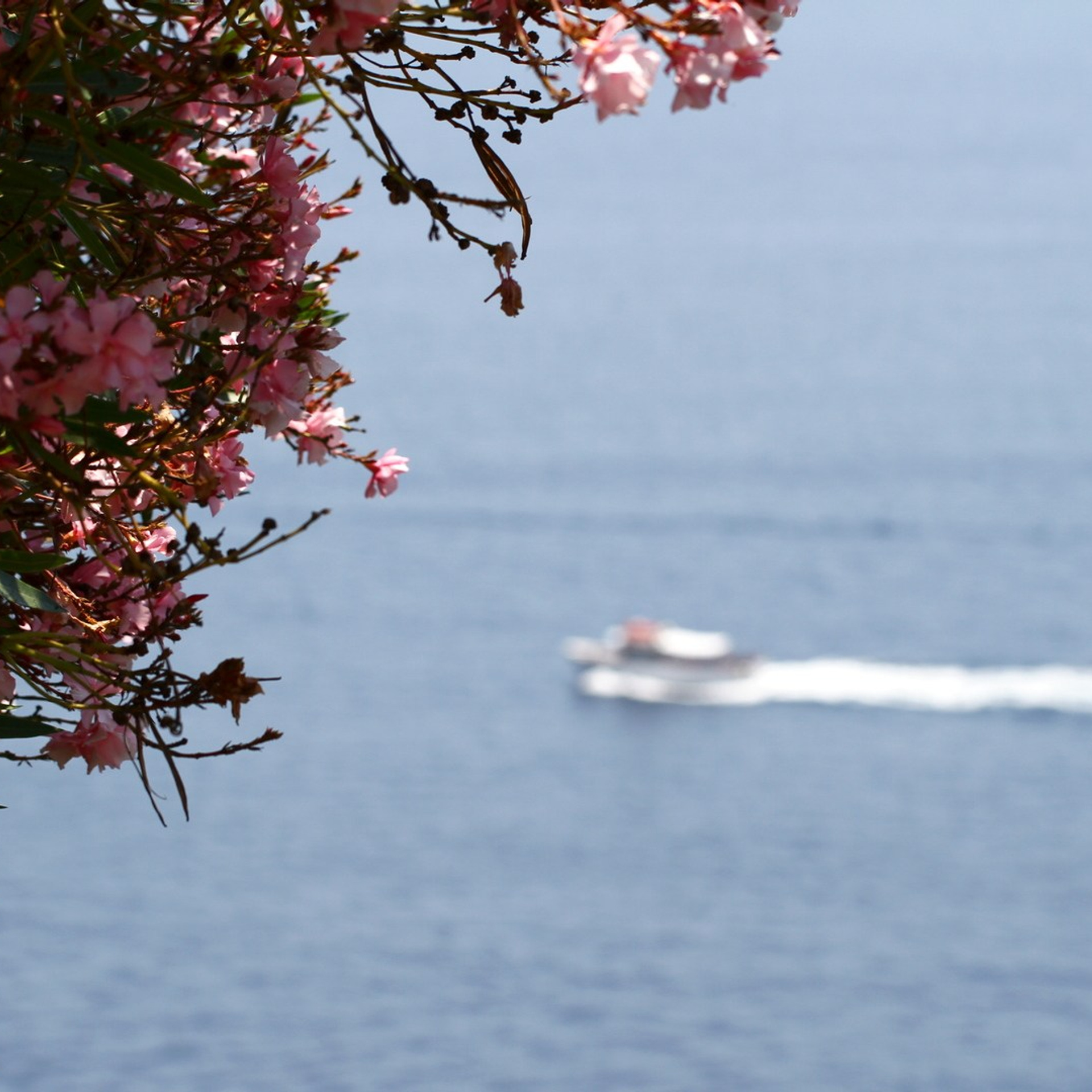 Италия. Амалфи, Бари 2012 г. Улица, люди, жизнь…