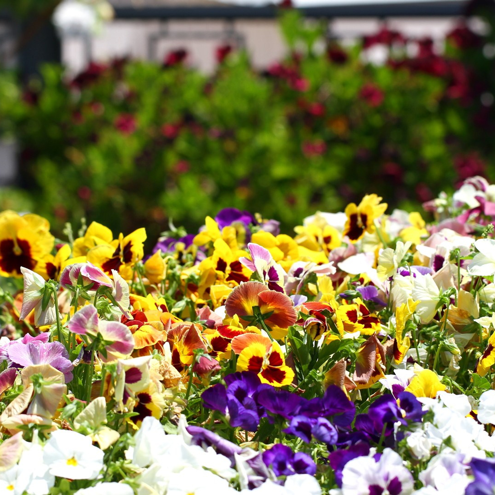 Италия. Амалфи, Бари 2012 г. Улица, люди, жизнь…