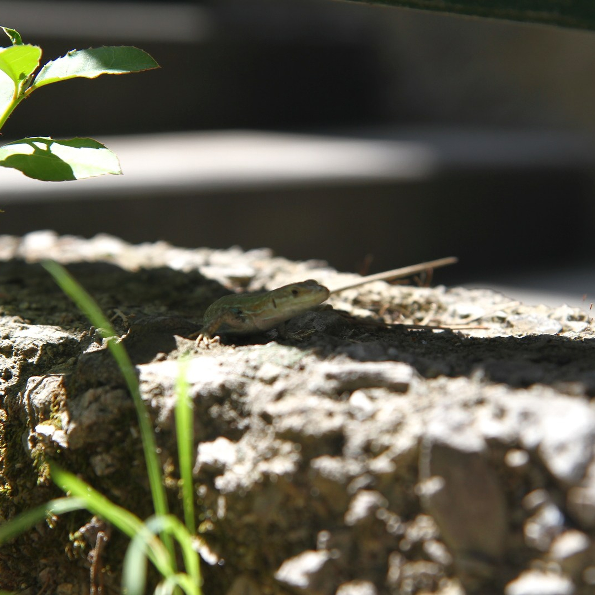 Италия. Амалфи, Бари 2012 г. Улица, люди, жизнь…