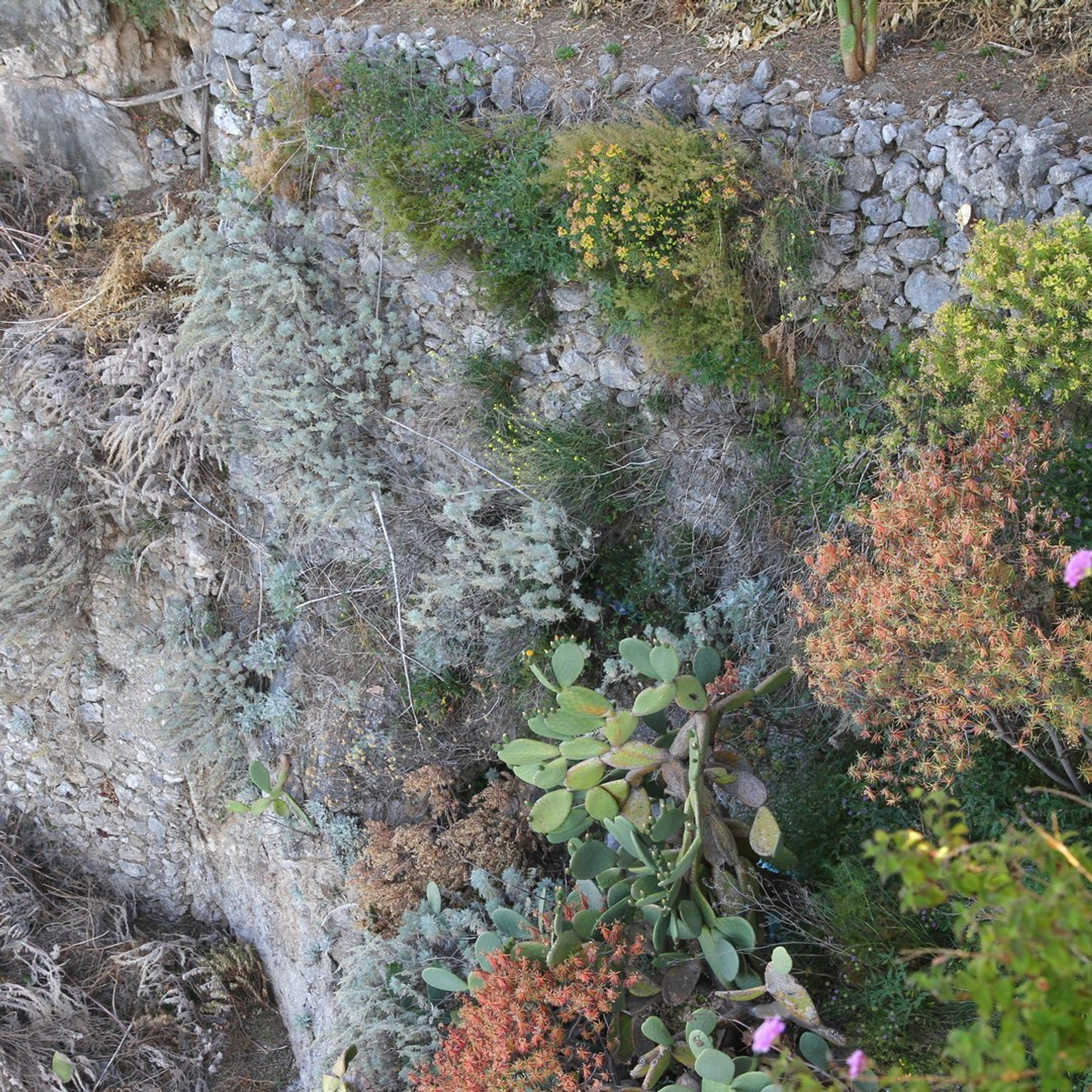 Италия. Амалфи, Бари 2012 г. Улица, люди, жизнь…