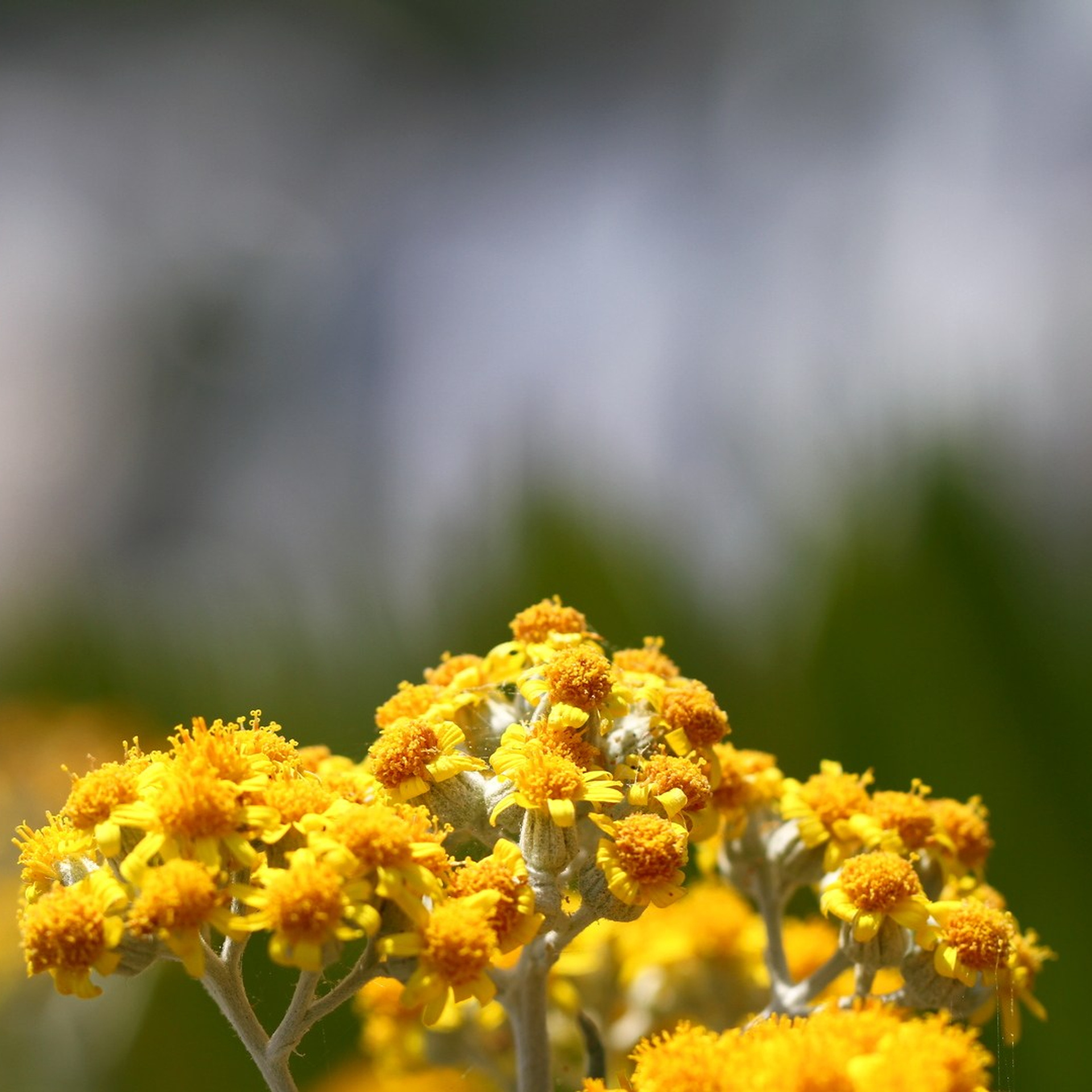 Италия. Амалфи, Бари 2012 г. Улица, люди, жизнь…